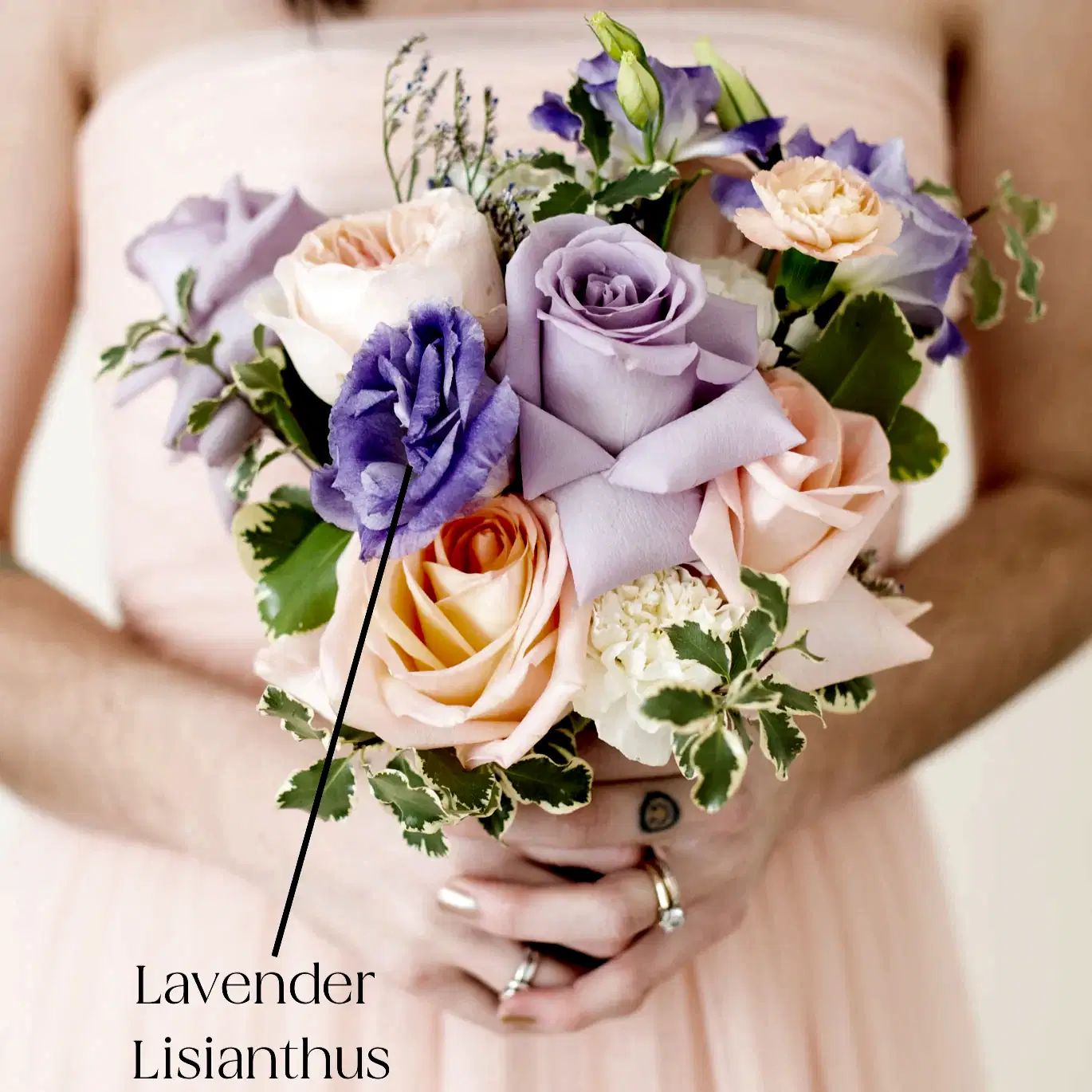 lavender lisianthus flower