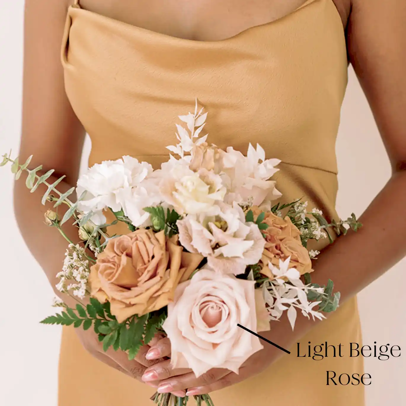 light beige rose, light beige color