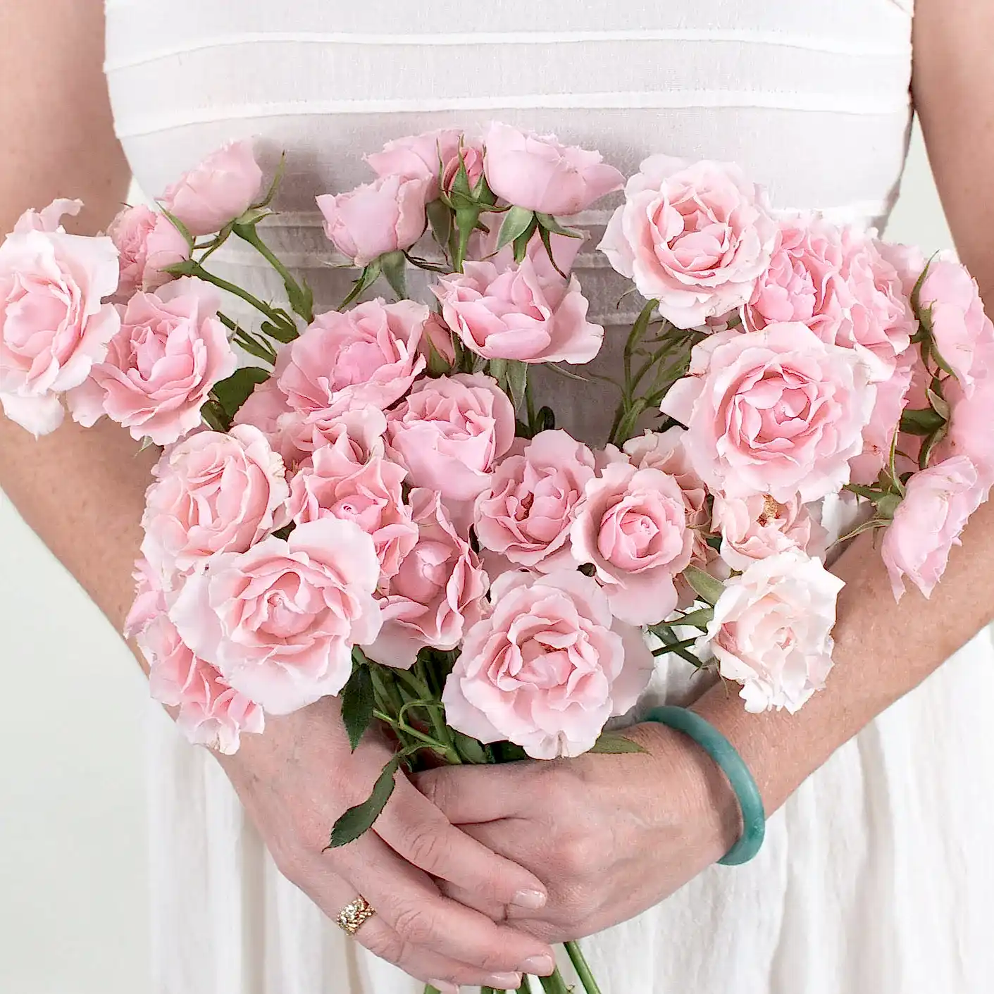 light pink spray rose flower