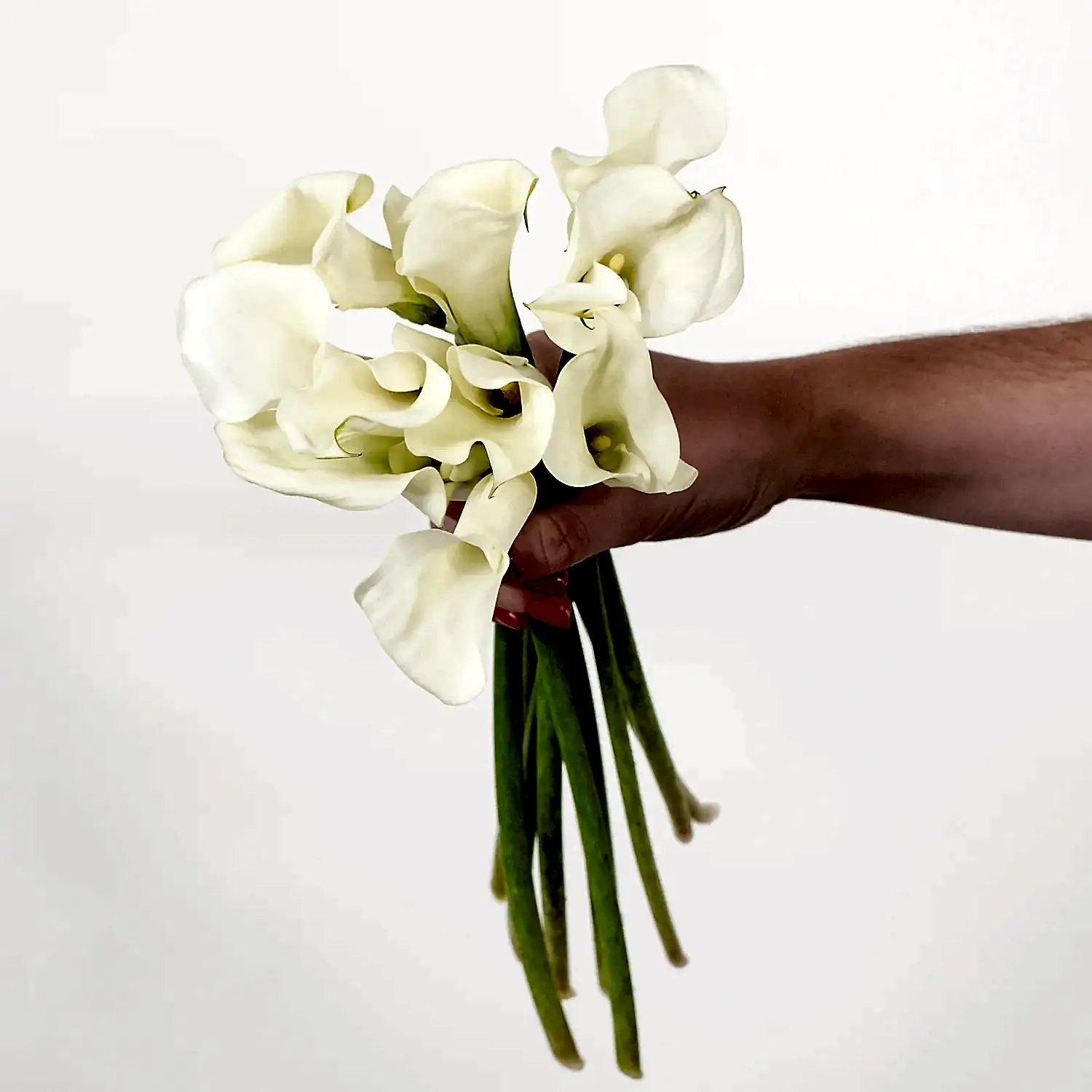 white calla lily