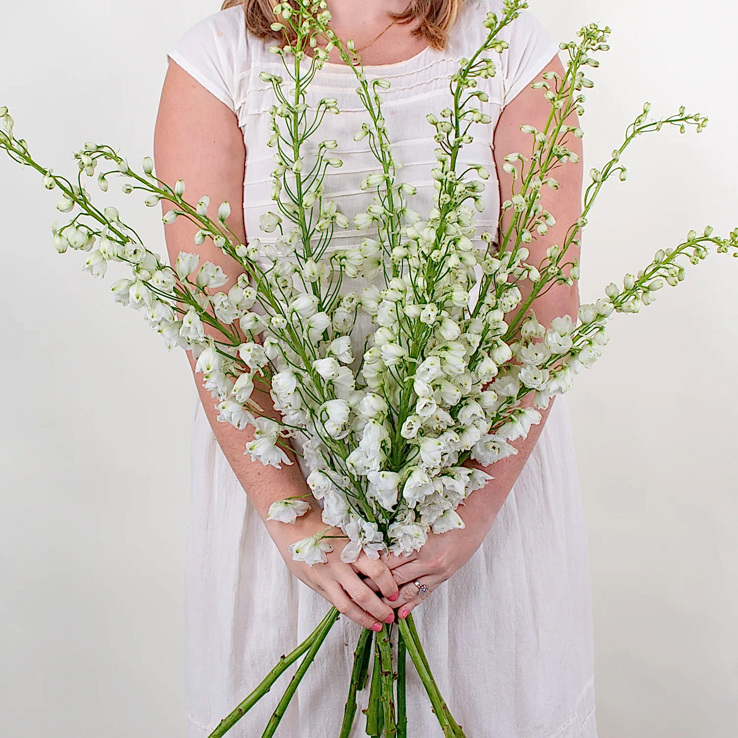 White Delphinium flower