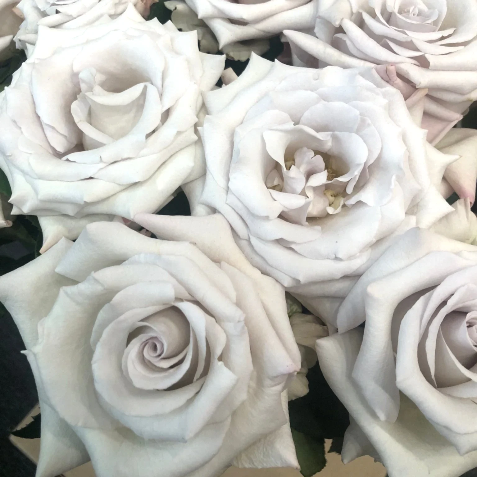 Grey Wedding Garden Roses Westminster Abbey