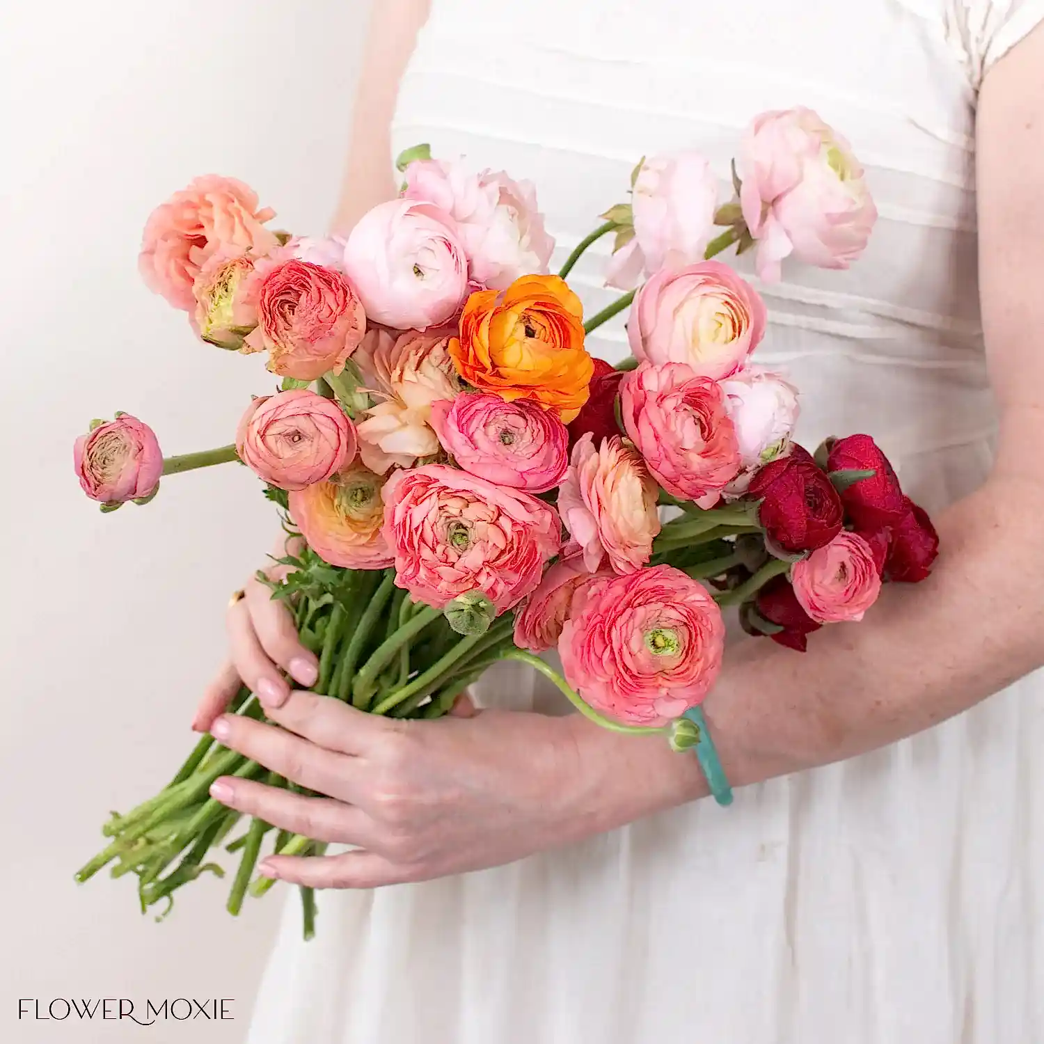 Bulk Spring Pastel Ranunculus