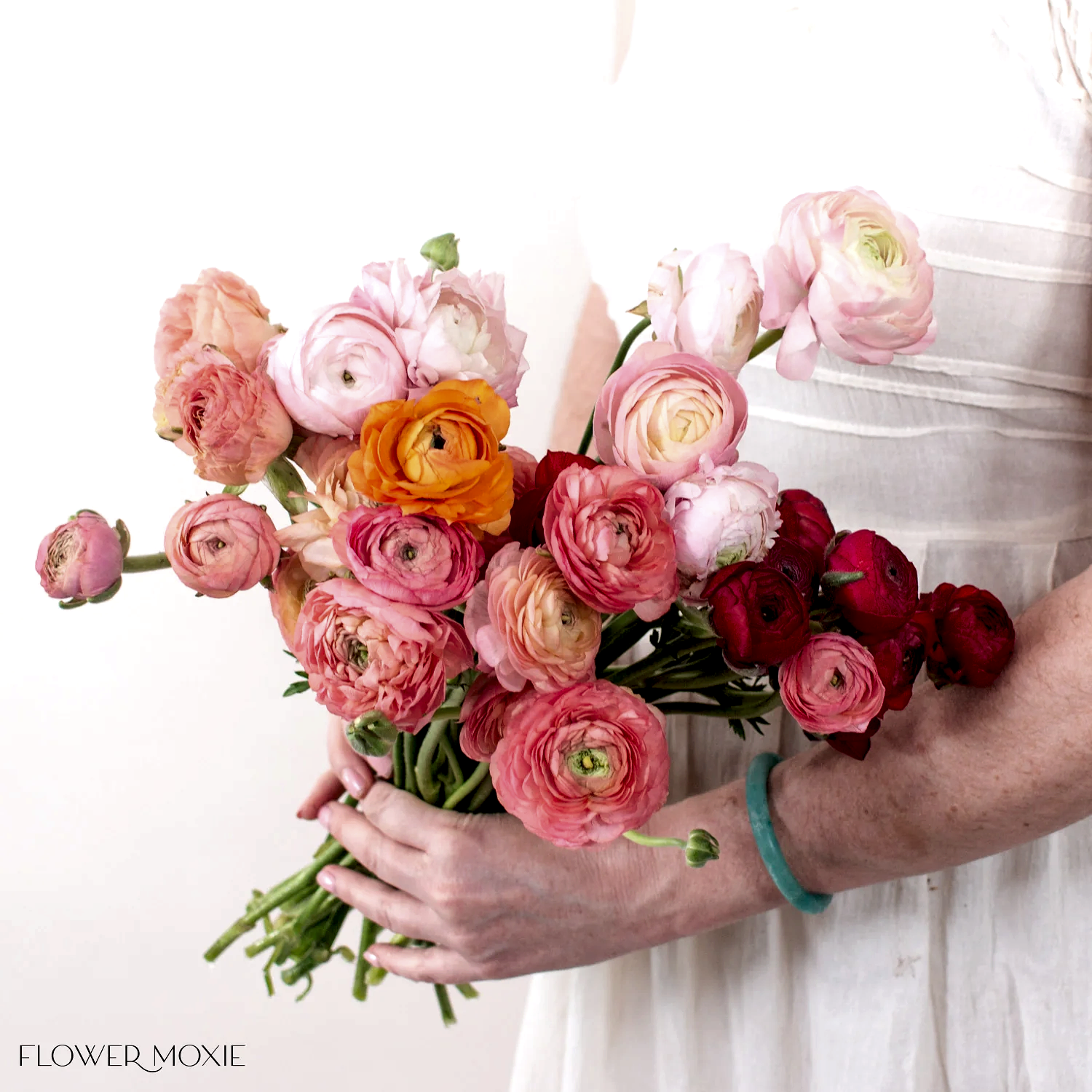 Bulk Spring Pastel Ranunculus