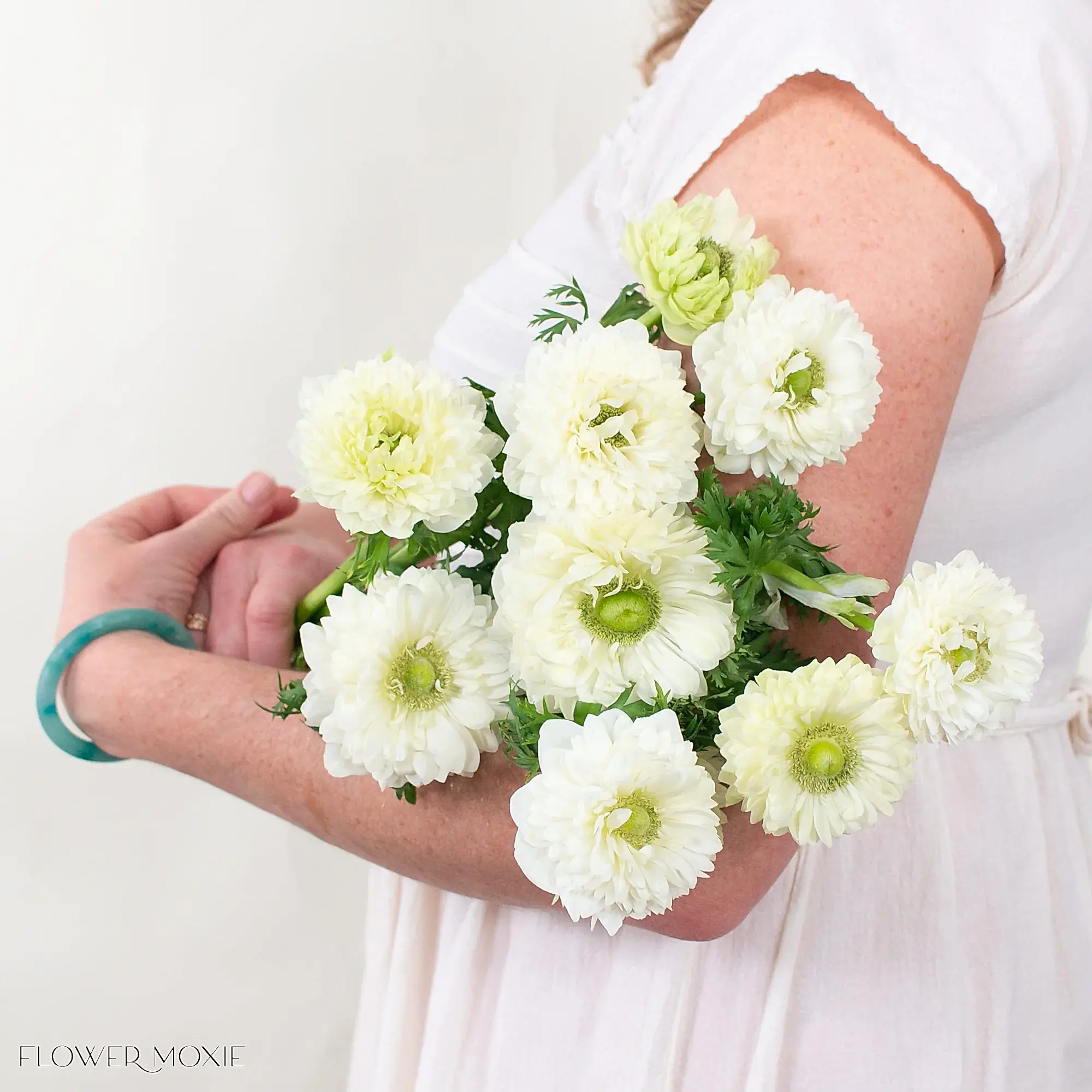 levante bianco anemone flower