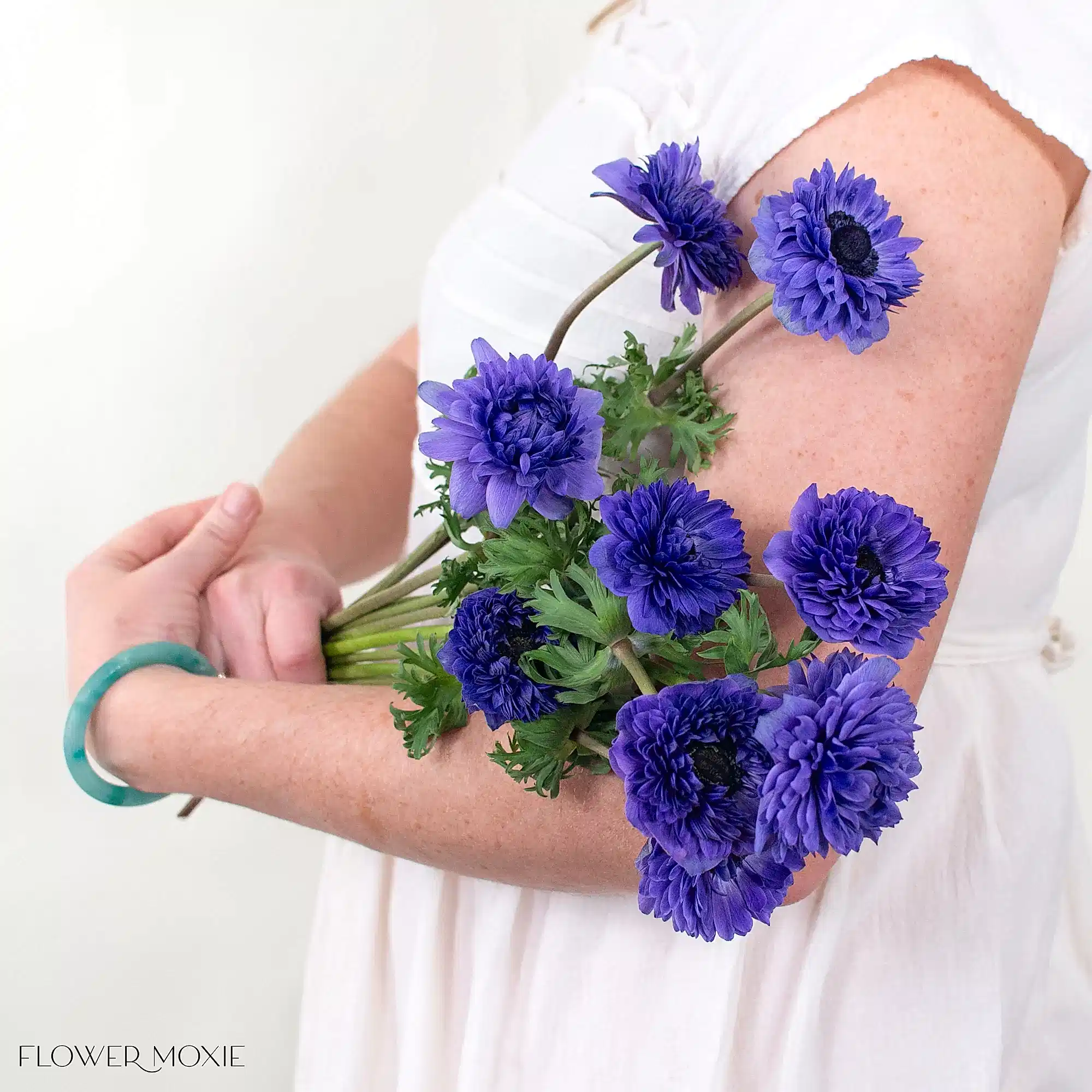 levante blu anemone flower