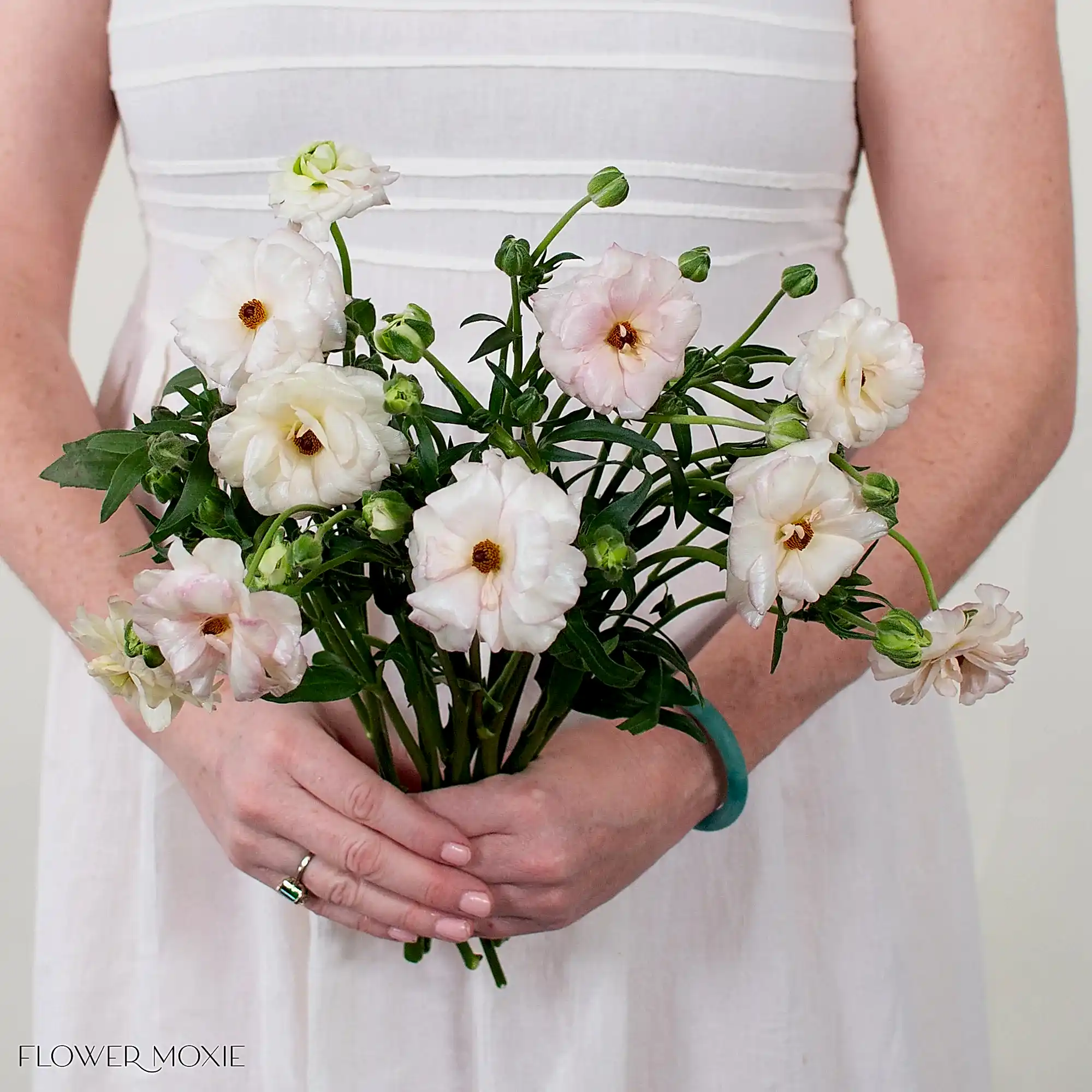 Ariadne Blush Butterfly Ranunculus