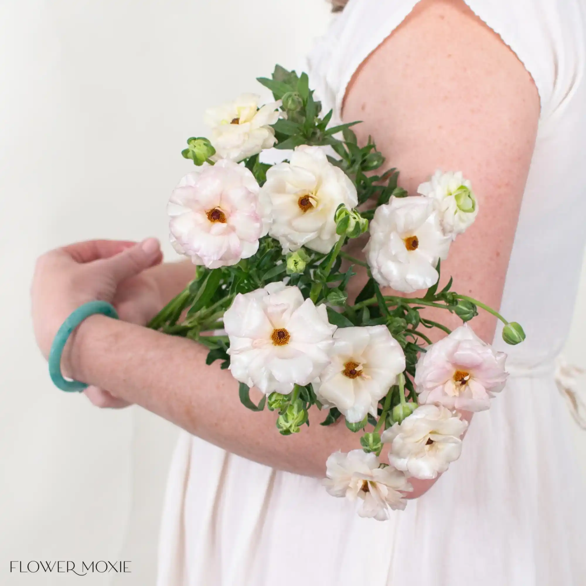 Ariadne Blush Butterfly Ranunculus