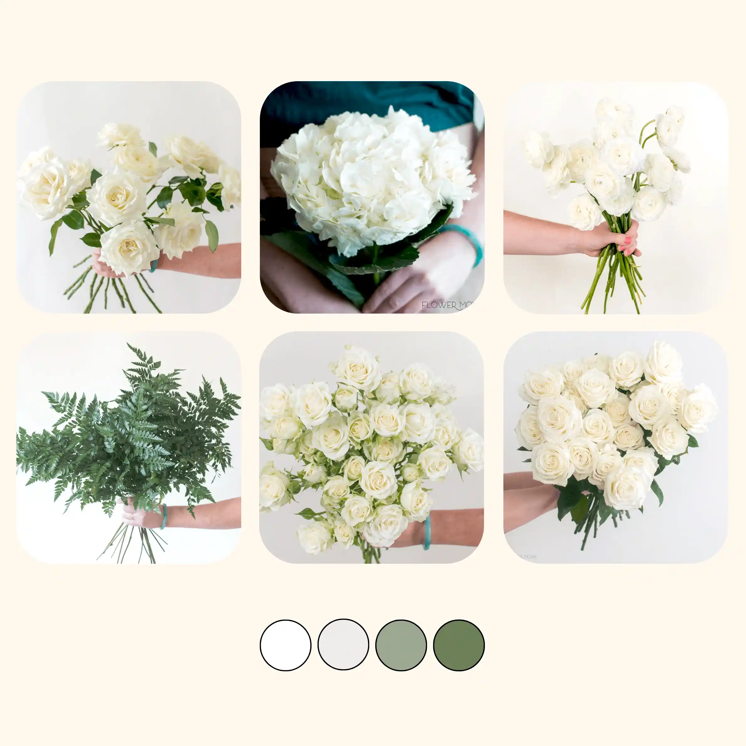 Classic Hydrangea Sample Box