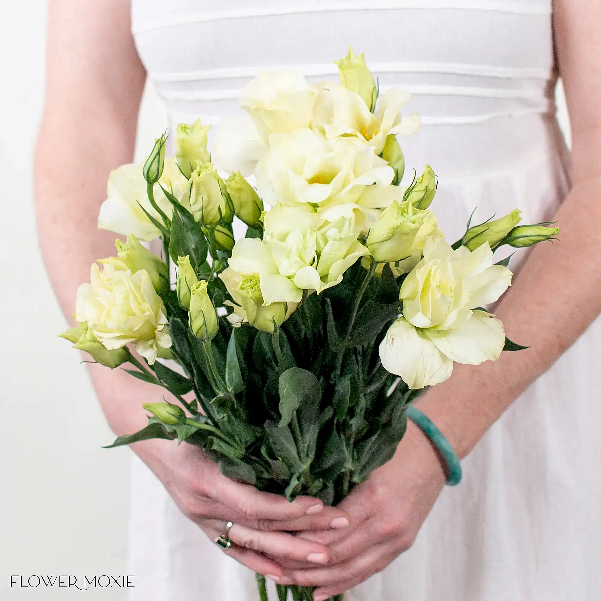 Cream Lisianthus Flower