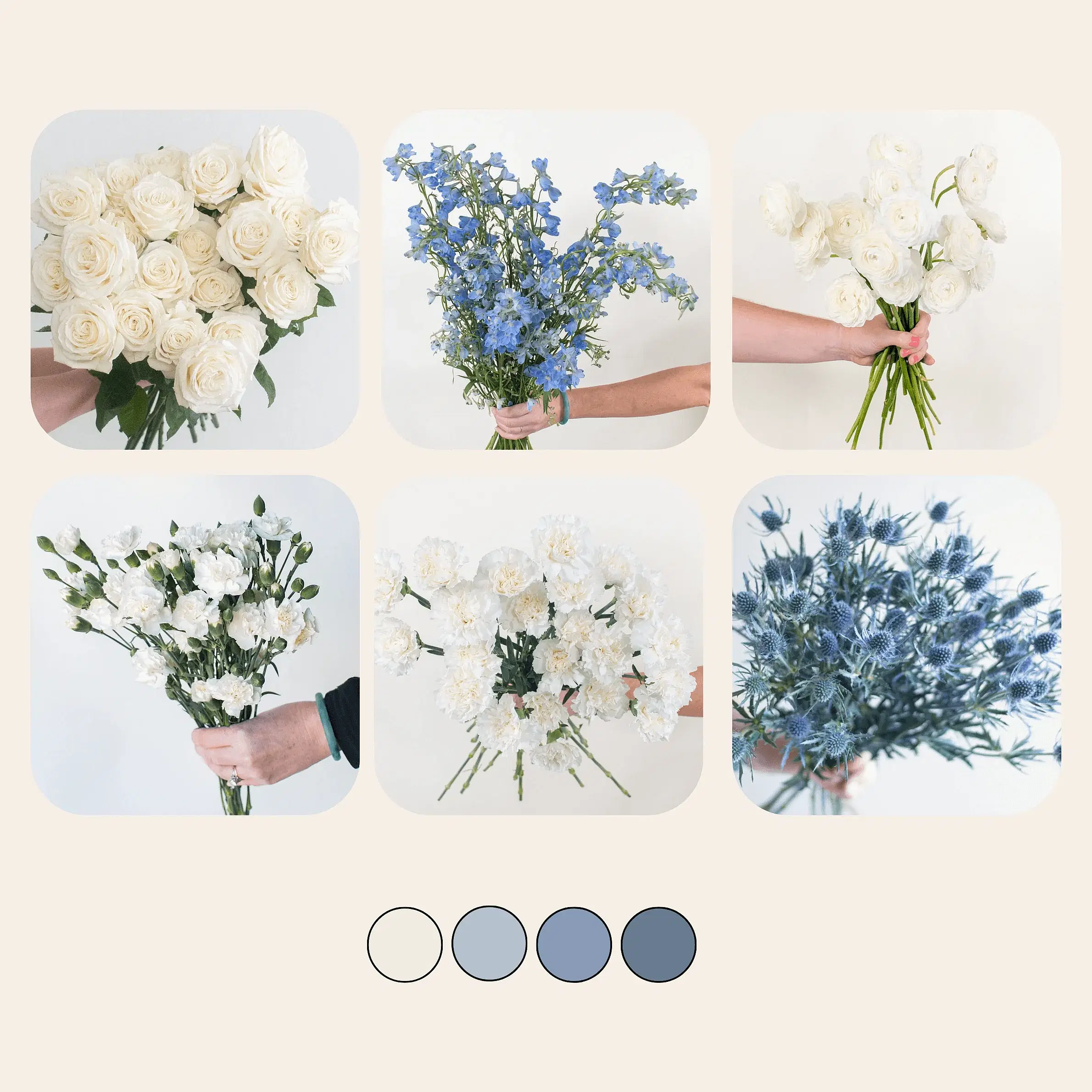 Dusty Blue and Cream Sample Box