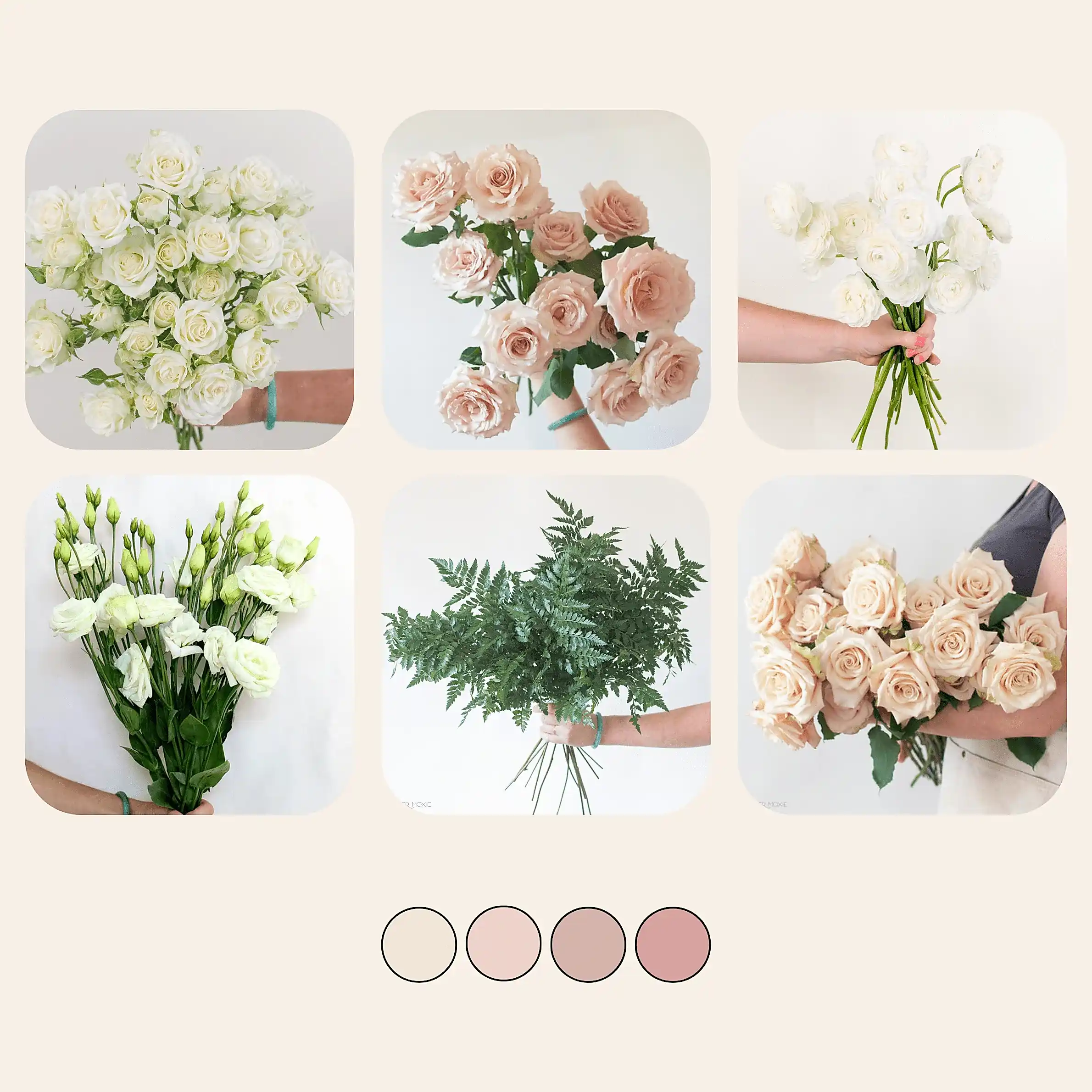 Dusty Rose and Cream Sample Box