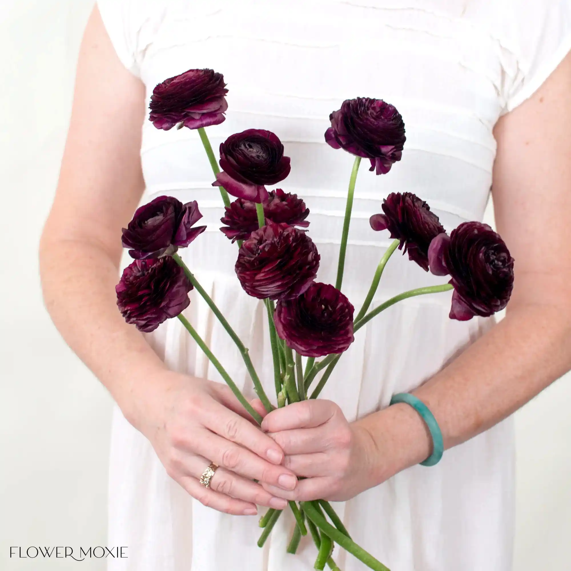 Deep Violet Ranunculus Flower