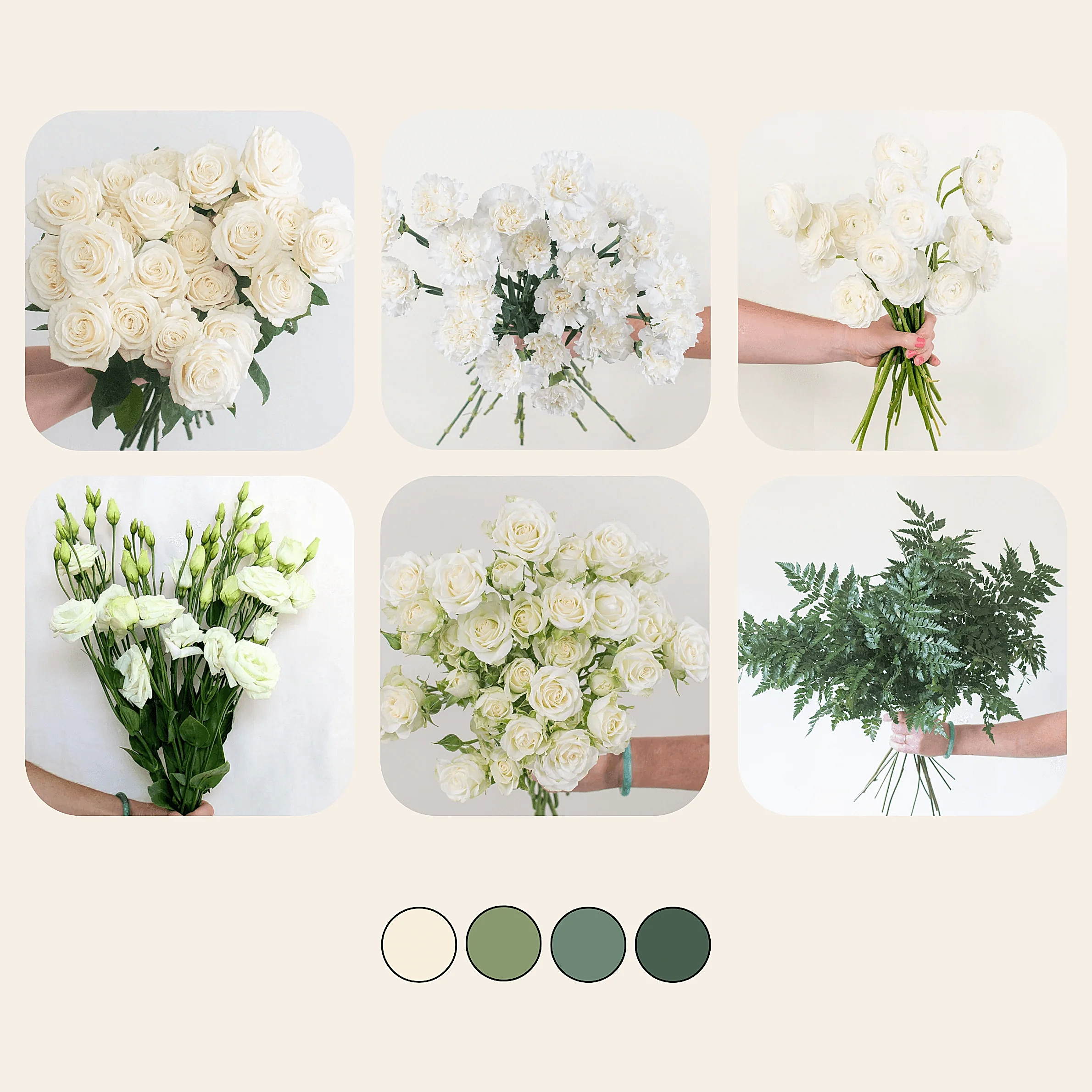 Emerald and Cream Sample Box