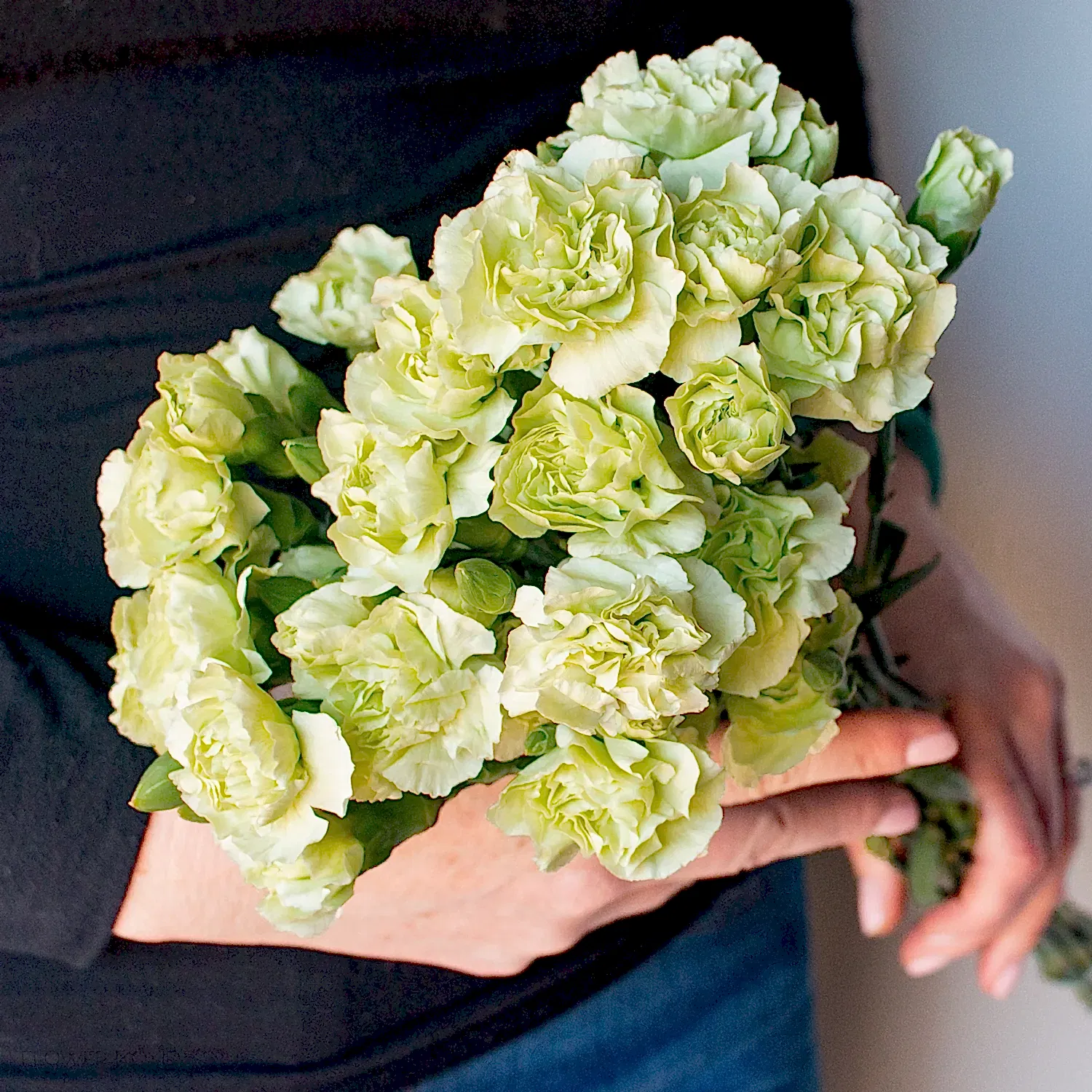 Green mini carnation flower