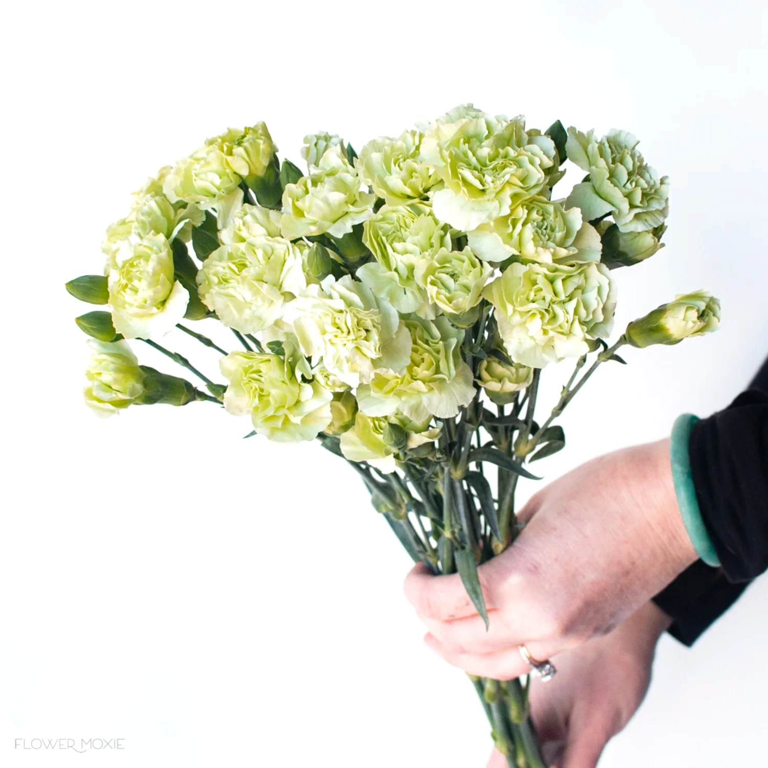 Green mini carnation flower