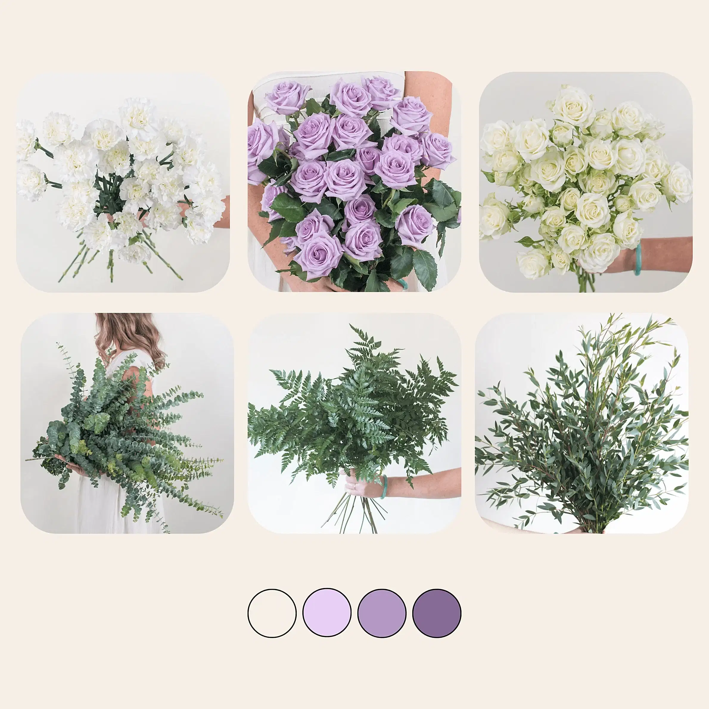 Lavender and Cream Basics Mixed Box