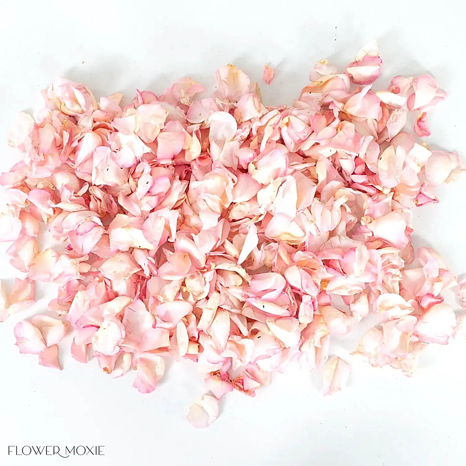 Wedding Light Pink Rose Petals