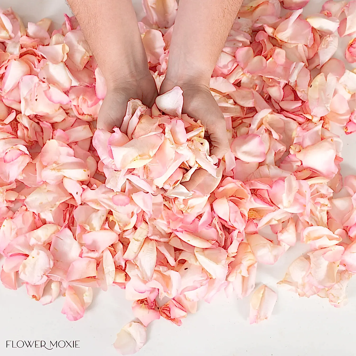 Wedding Light Pink Rose Petals