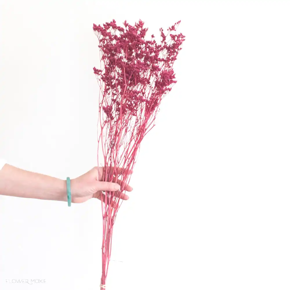 Dried Berry Limonium Flower