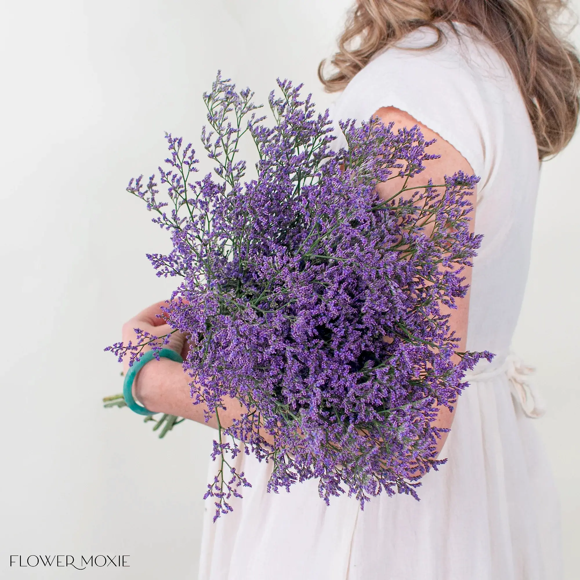 skylight purple limonium flower