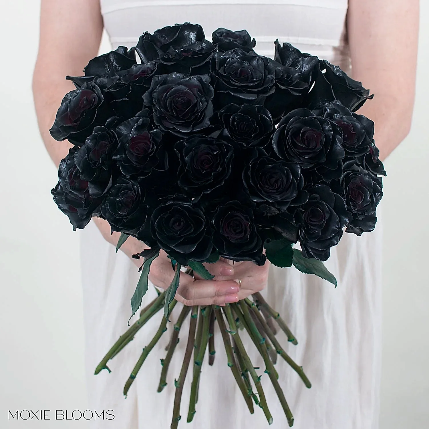 black rose