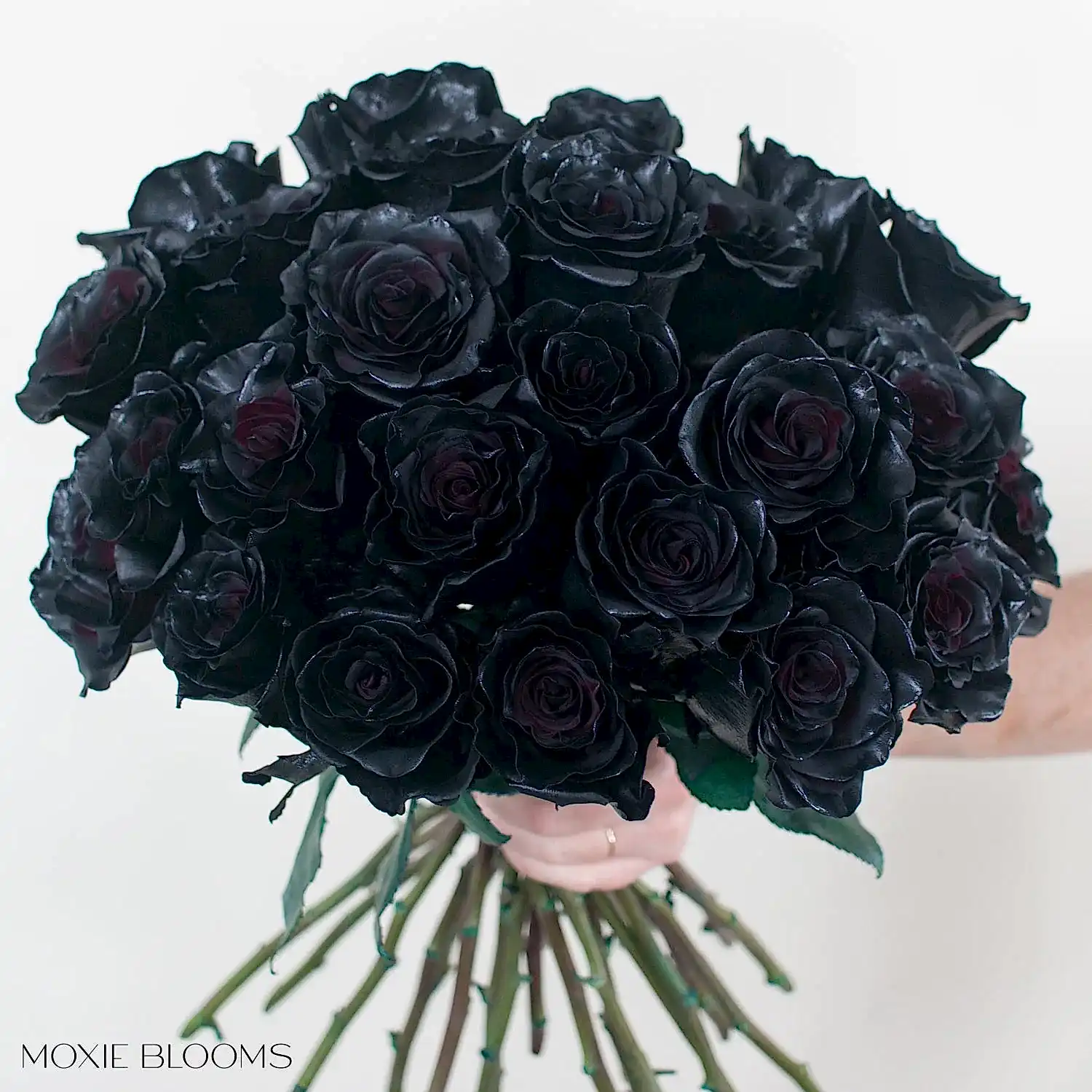 black rose