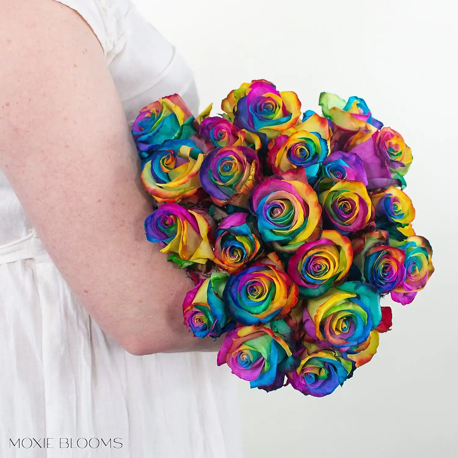 rainbow pride rose