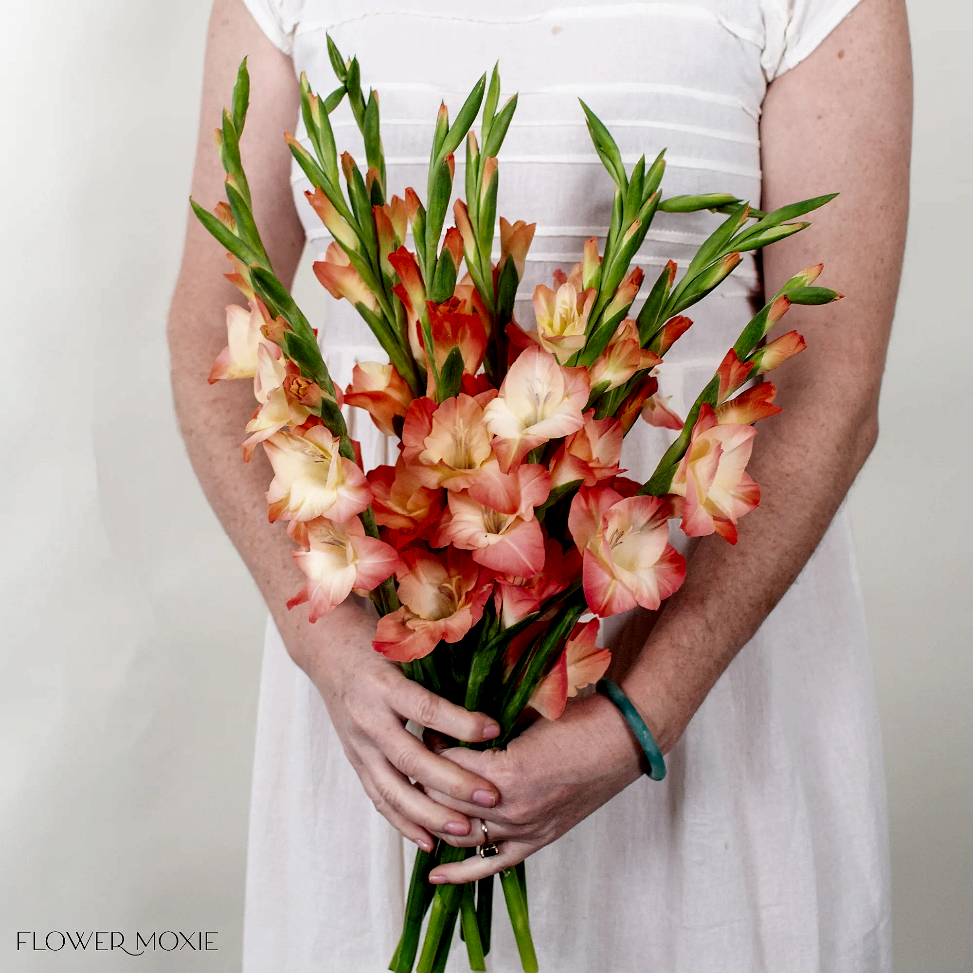 Peach Mini Gladiolus Flower