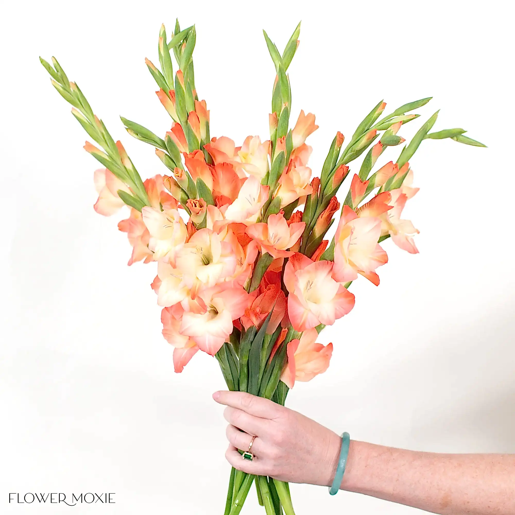 Peach Mini Gladiolus Flower