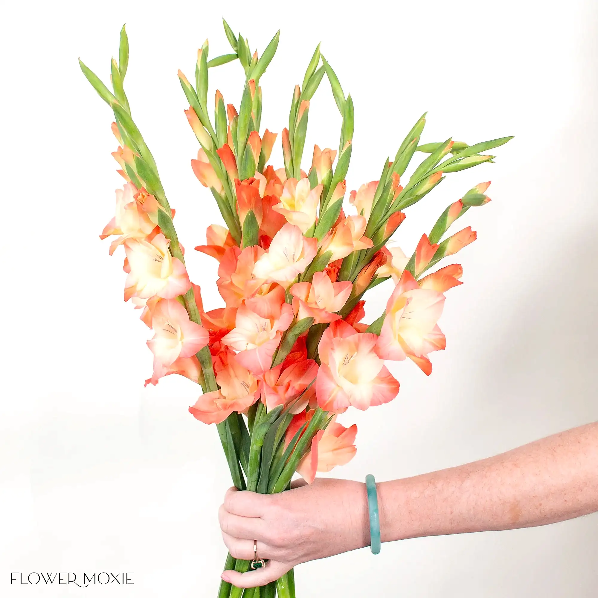 Peach Mini Gladiolus Flower