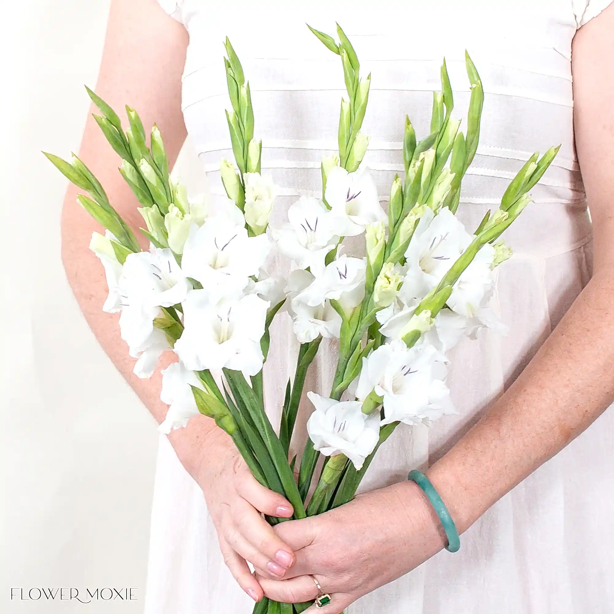 White Mini Gladiolus Flower