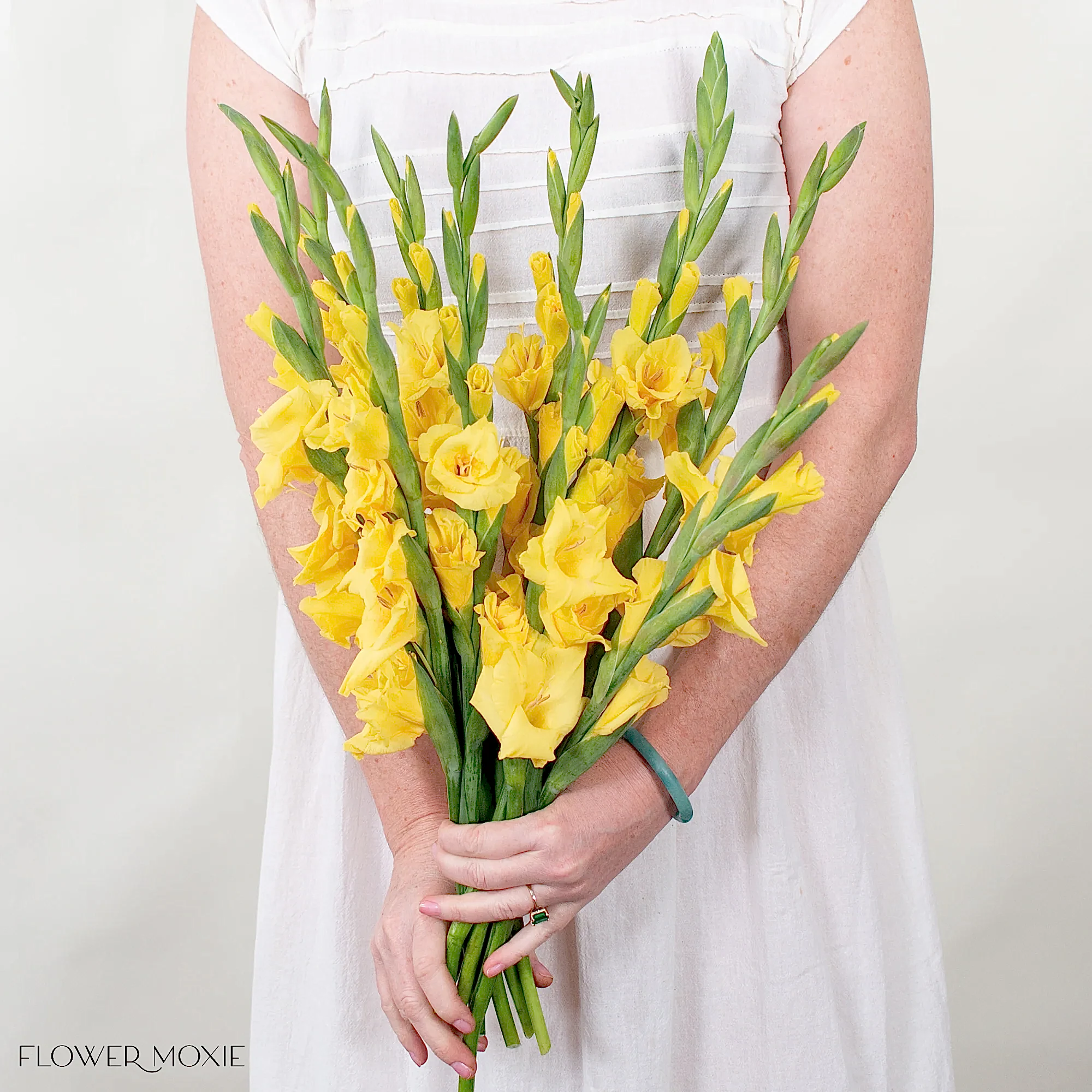 Yellow Mini Gladiolus Flower