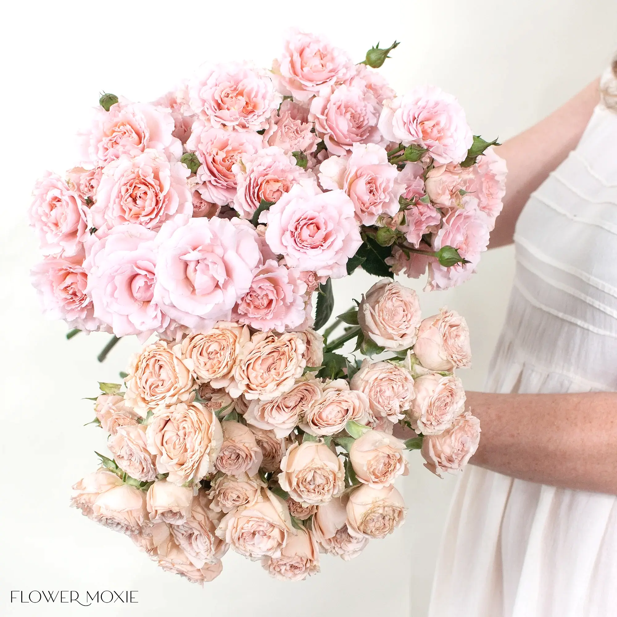 Blush and Peach Spray Roses Mixed