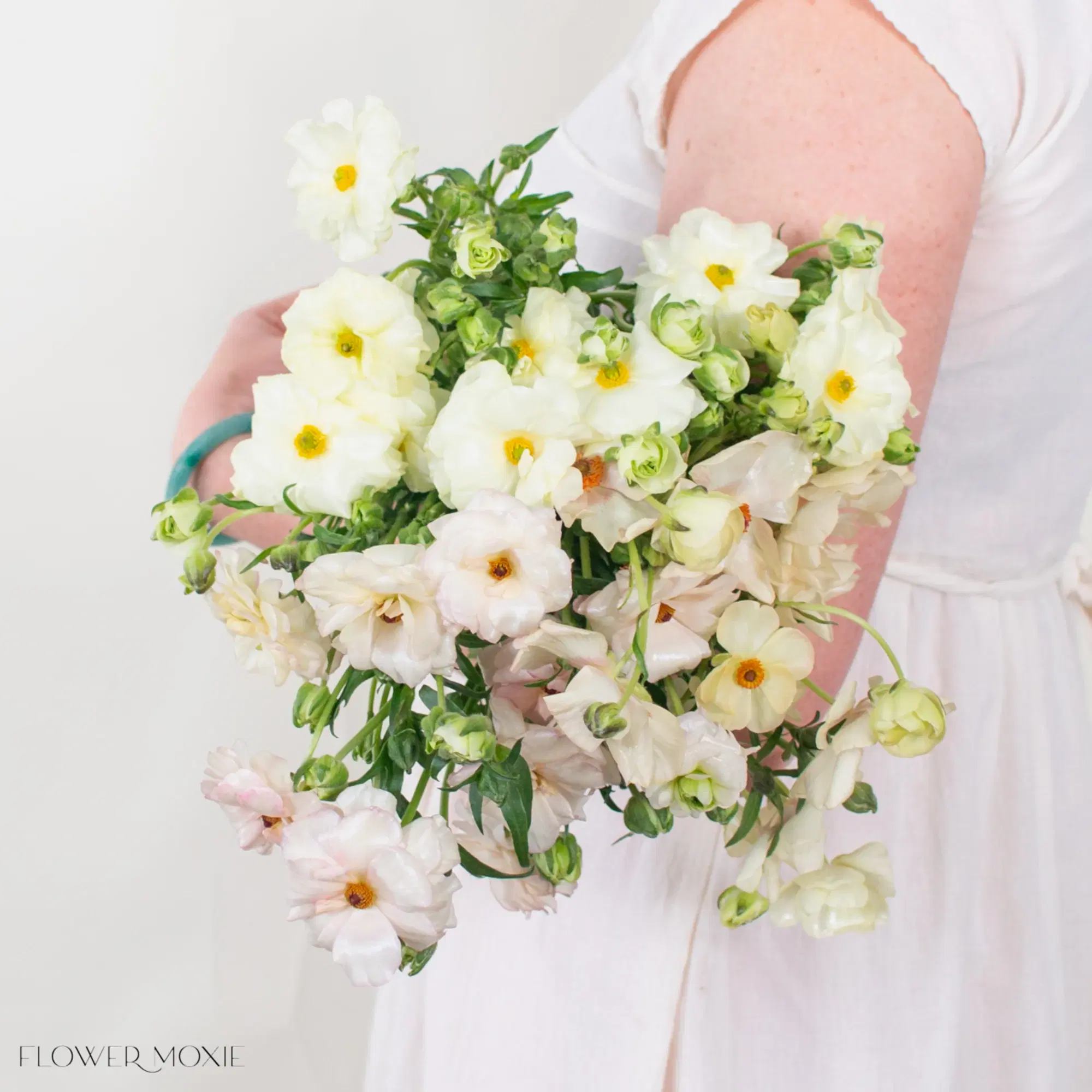 Melissa, Grace, and Ariadne butterfly Ranunculus Flowers