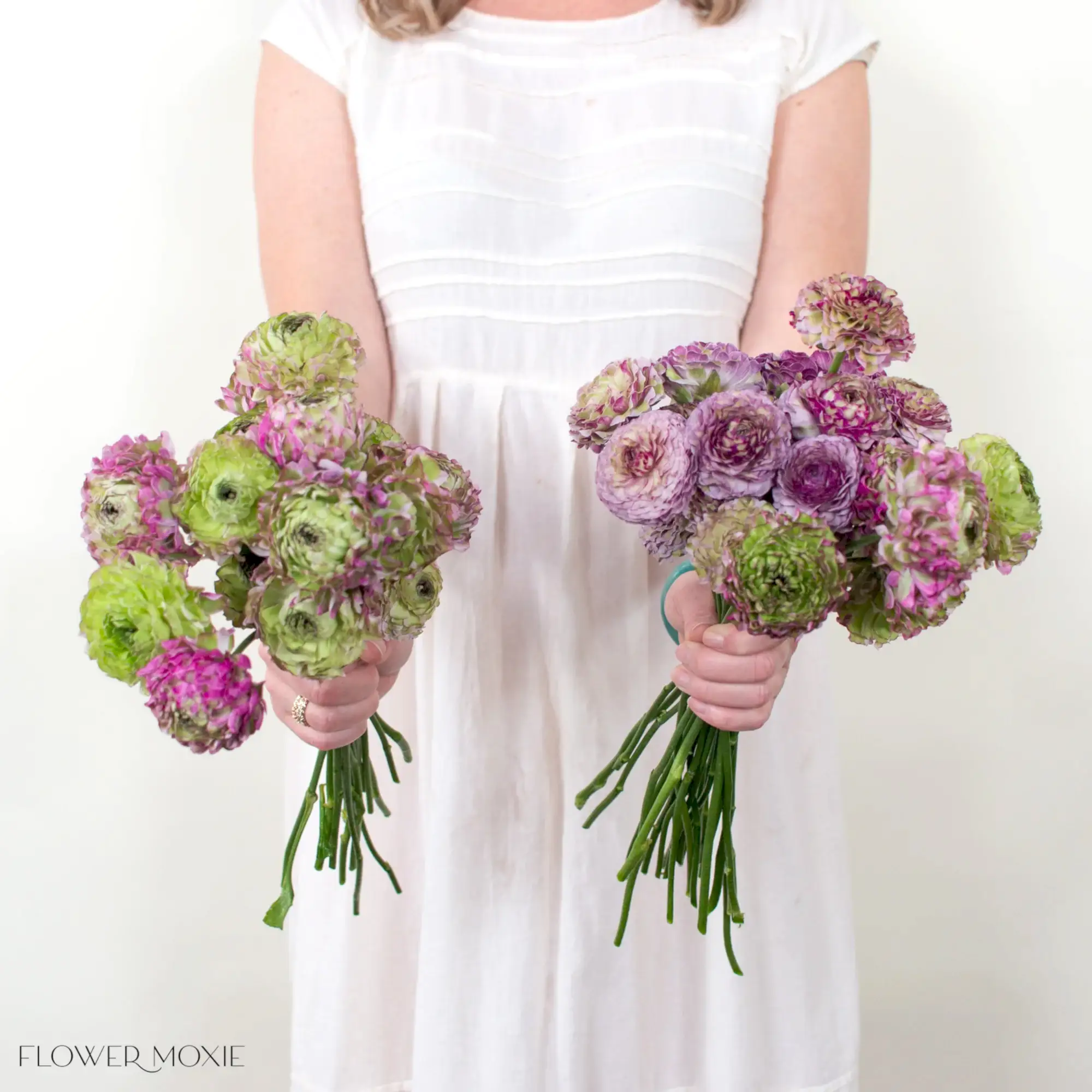 Berry Curly Ranunculus Mixed Box