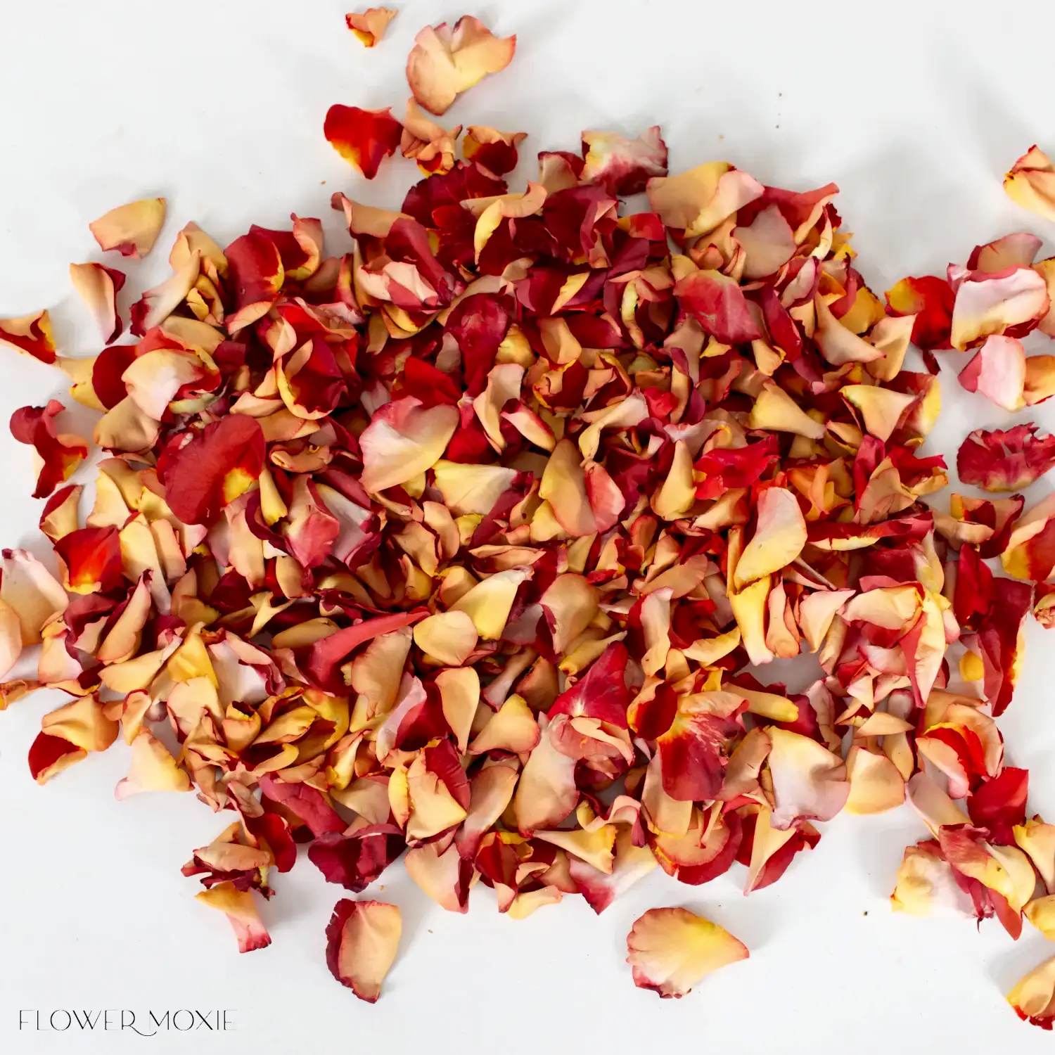 Fall Wedding Bulk Rose Petals