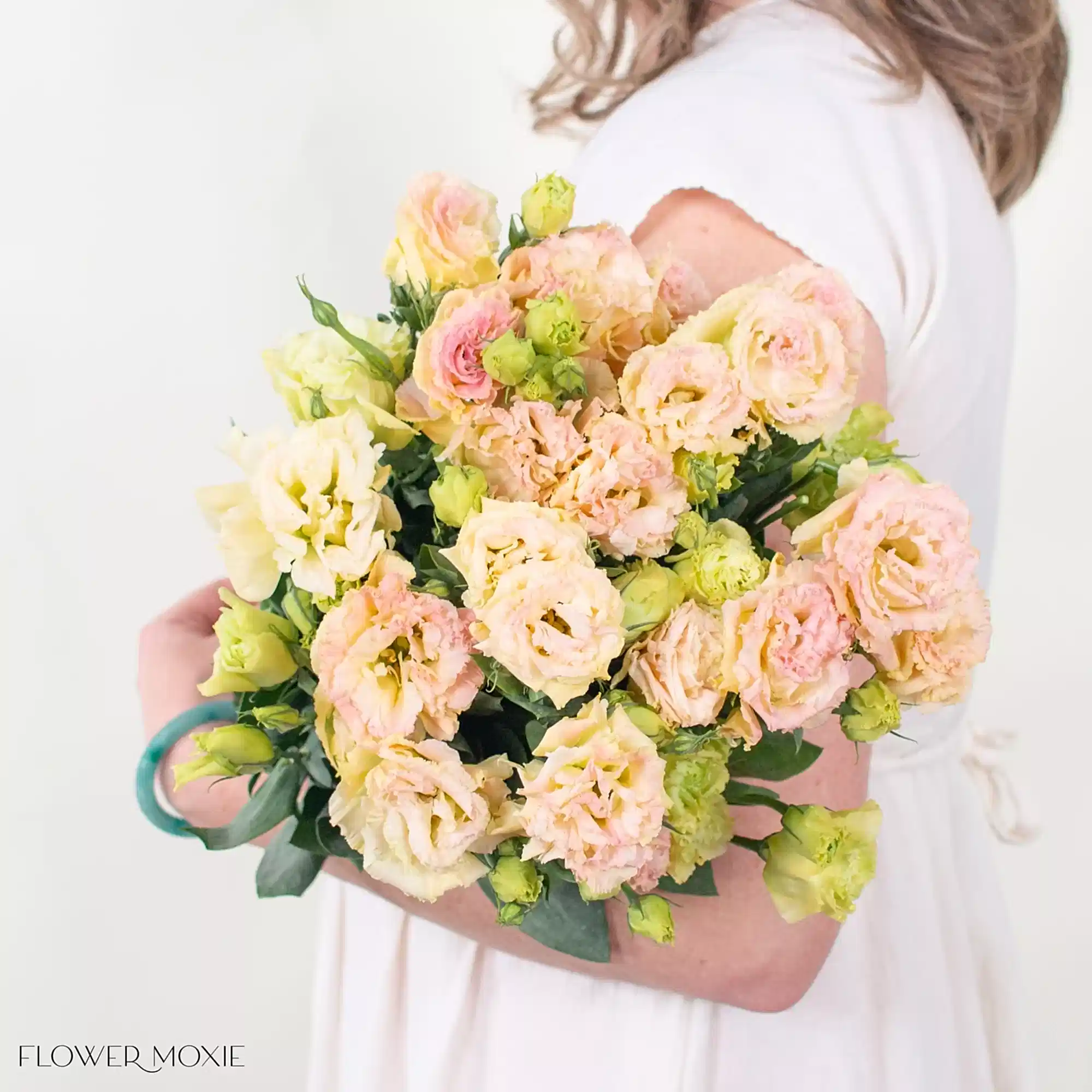 peach pink lisianthus flower