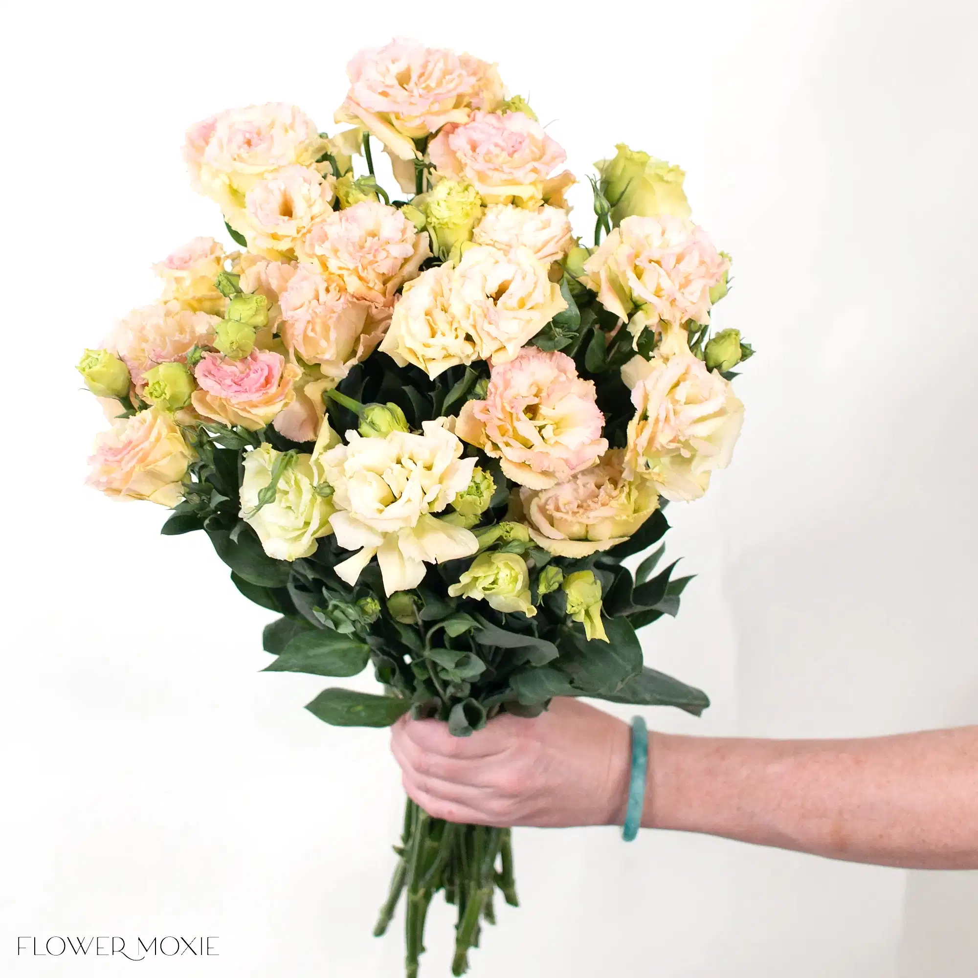 peach pink lisianthus flower