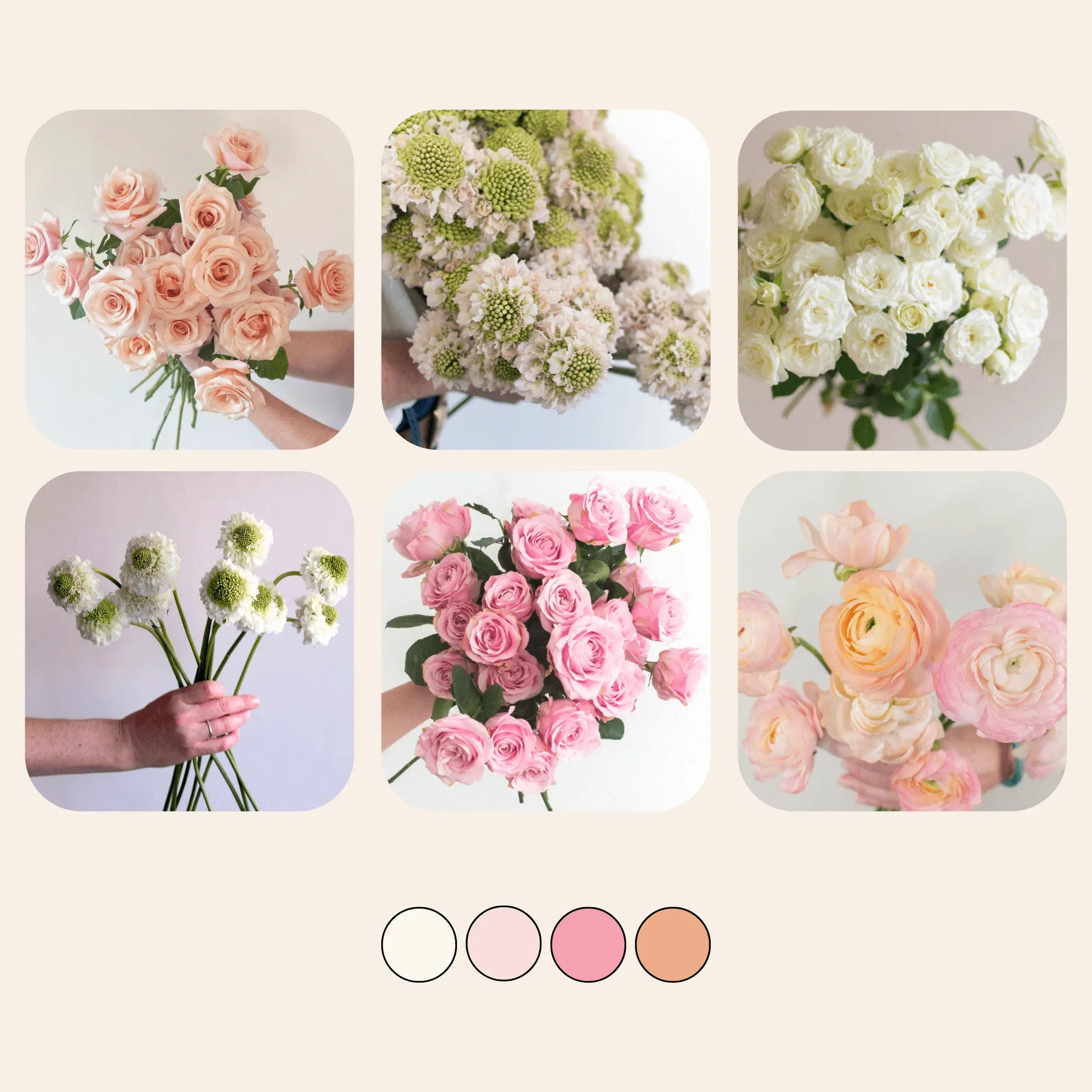 peachy pink mixed diy flower box