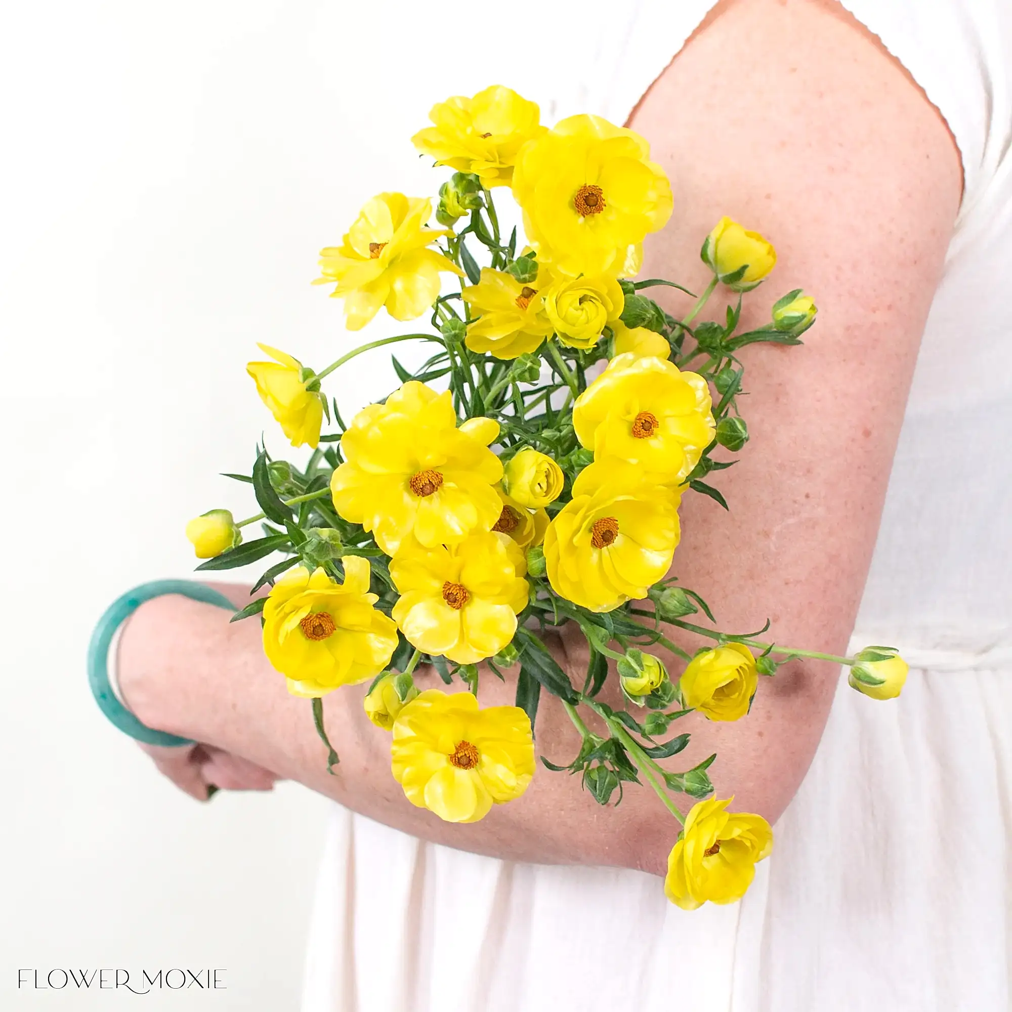 Phytalos Butterfly Ranunculus Flower