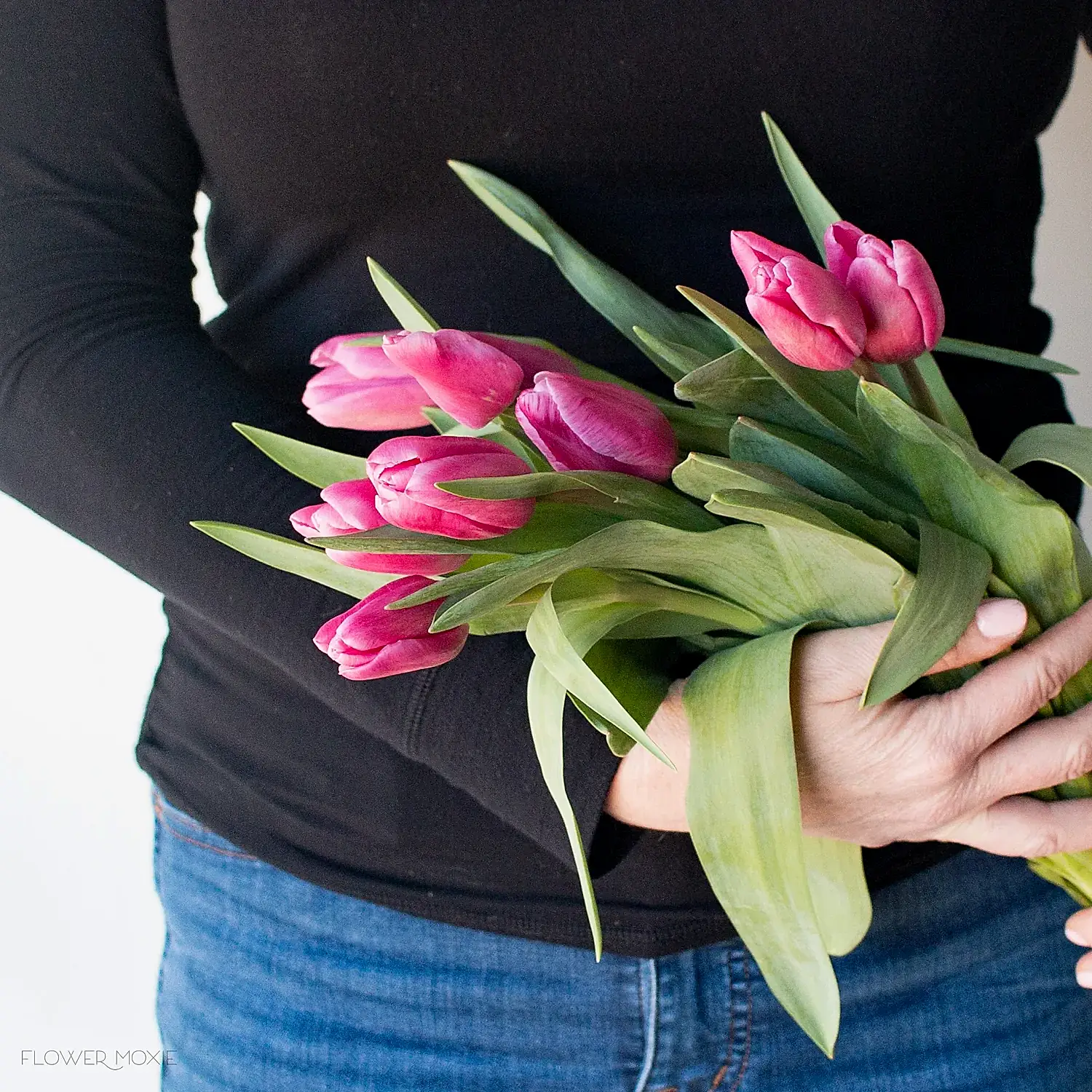 Pink Tulips