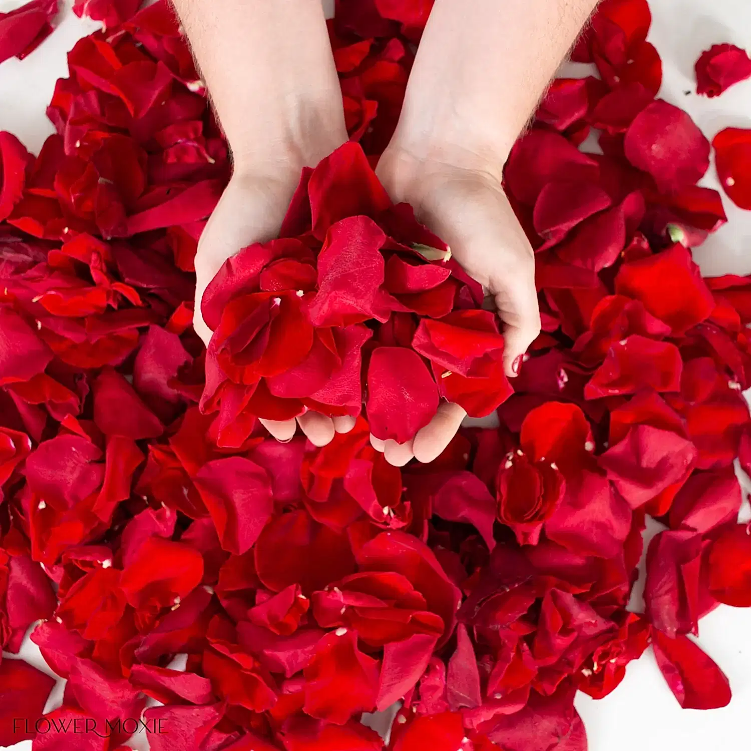 bulk red rose petals