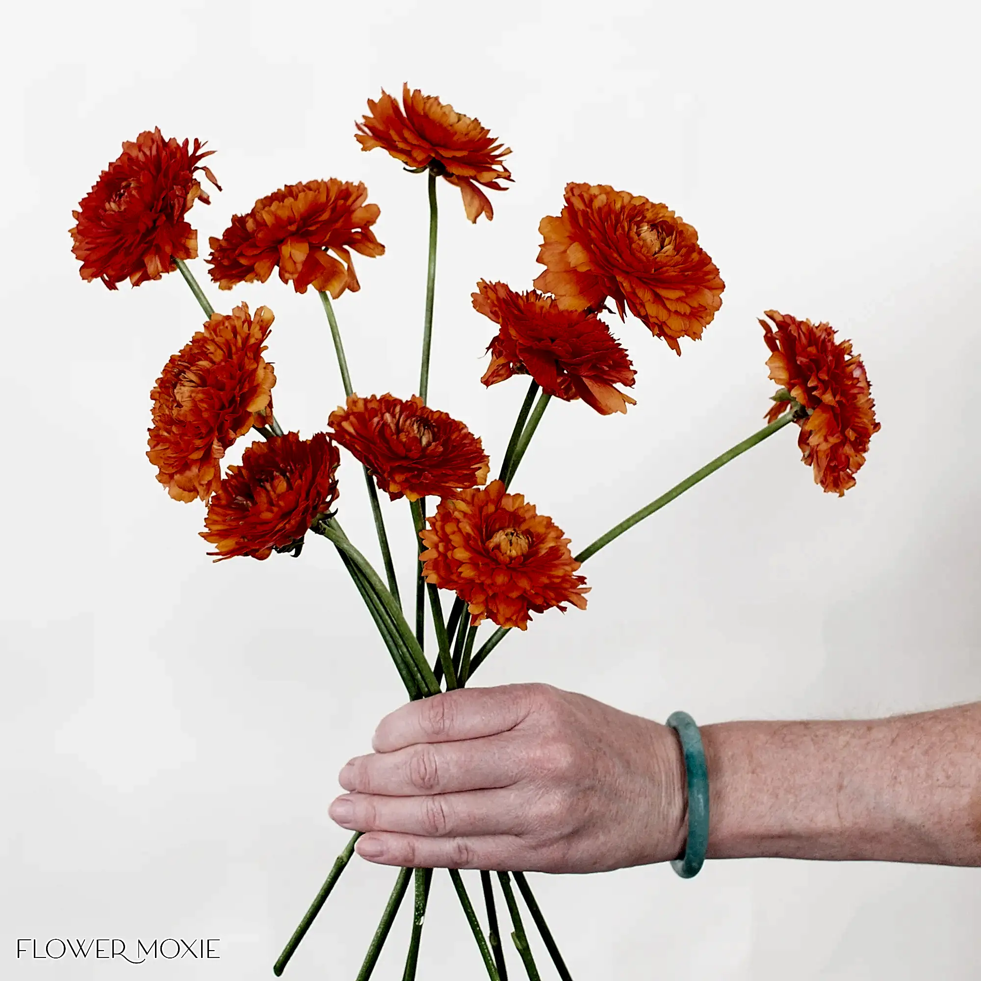 Orange Curly Ranunculus Flower