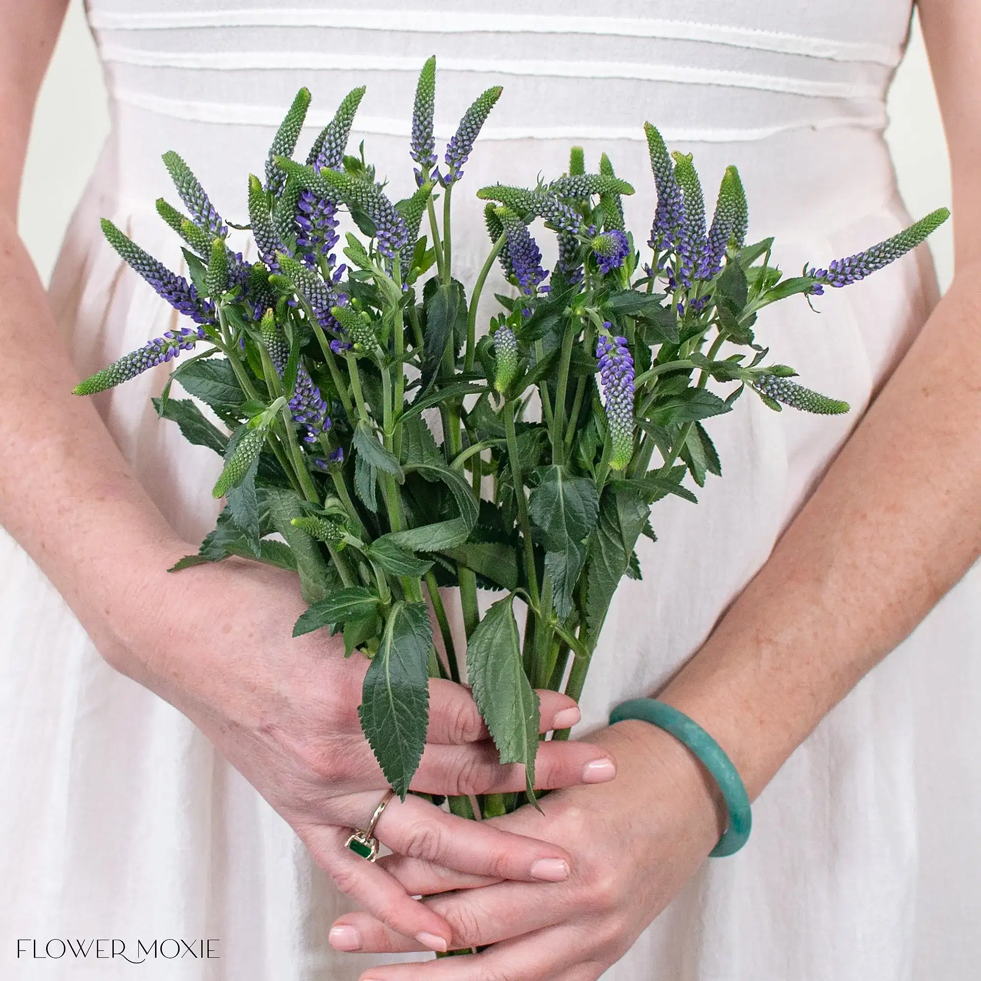 Indigo Blue Spray Veronica Flower