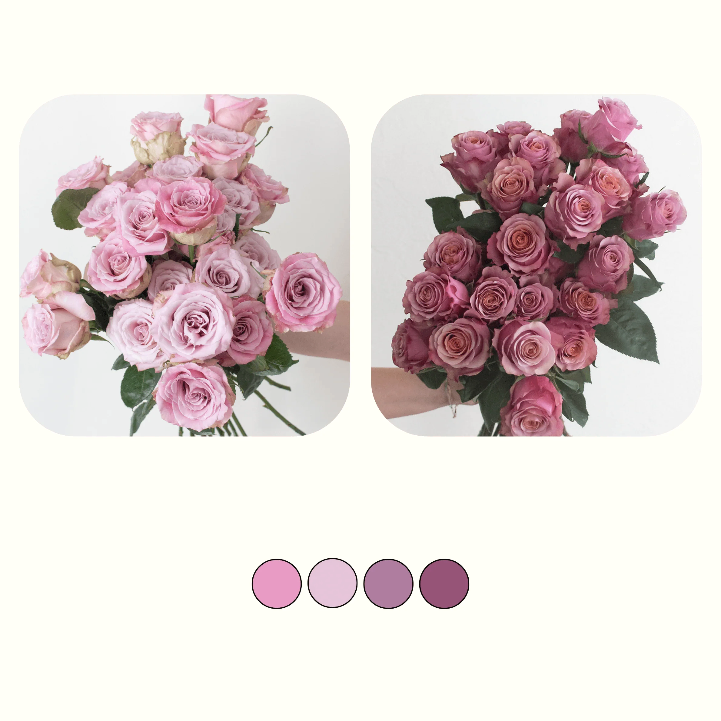 Vintage Mauve Rose Mixed Box