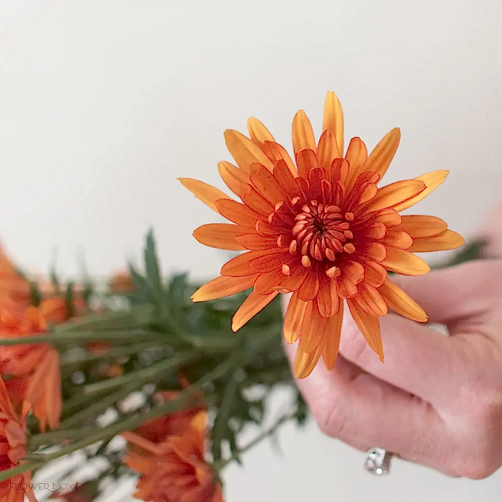 copper cushion pom flower