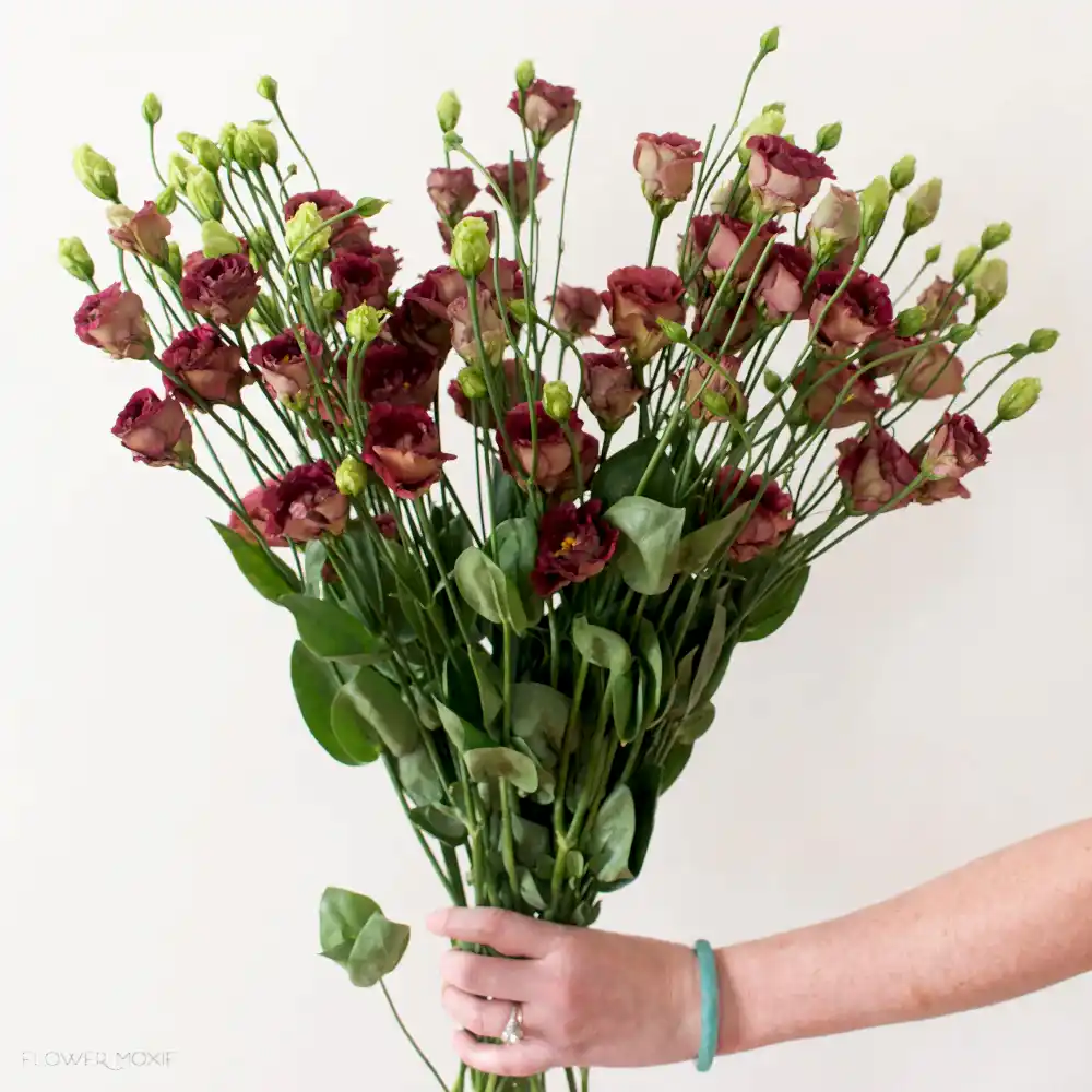 brown lisianthus flower