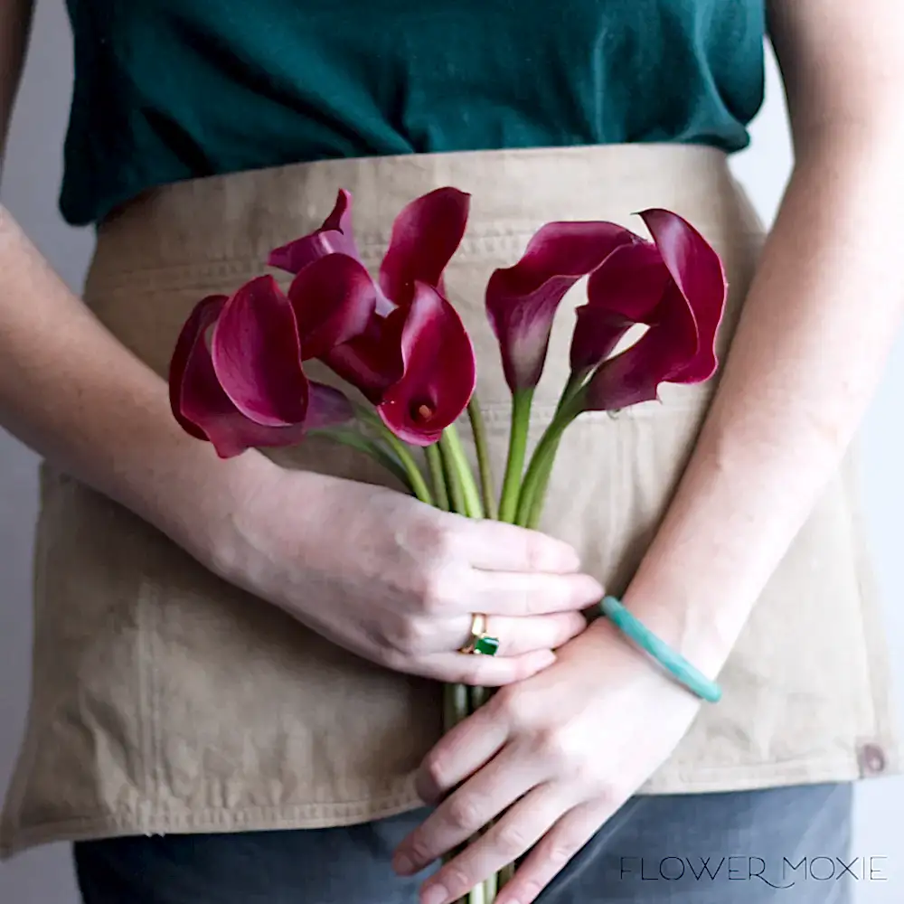 Cranberry Mini calla lily