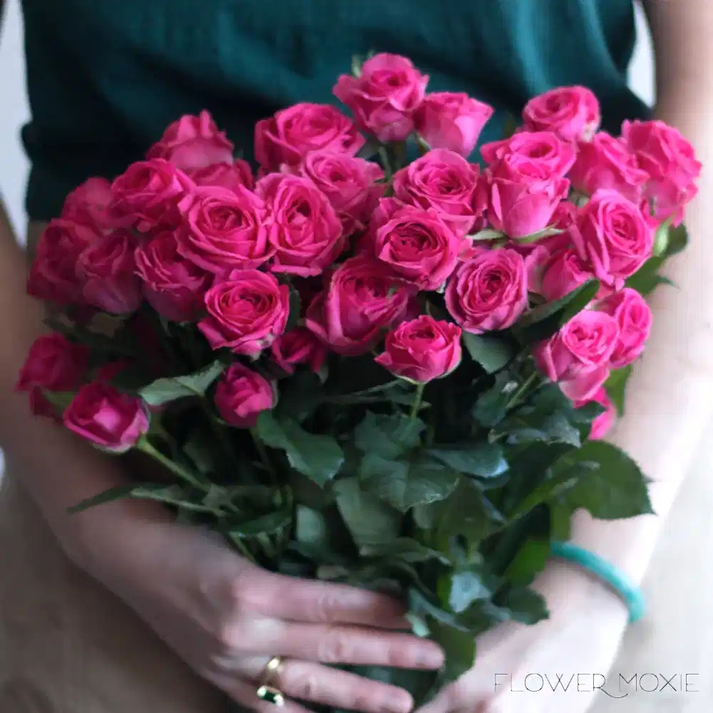 Deep Pink Spray Roses